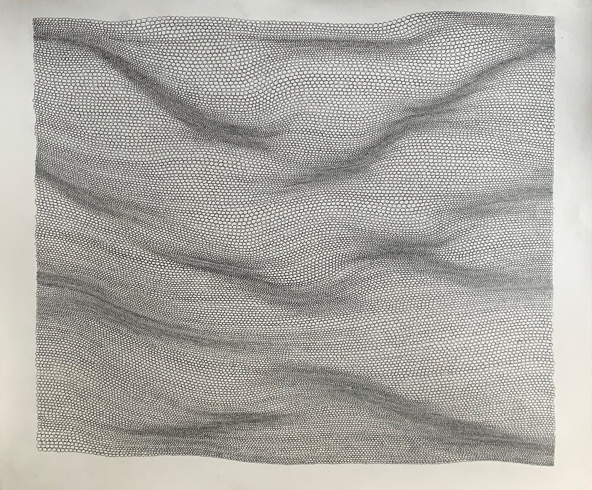 A detailed black and white pattern consisting of small, irregularly shaped cells forming flowing, wave-like lines.