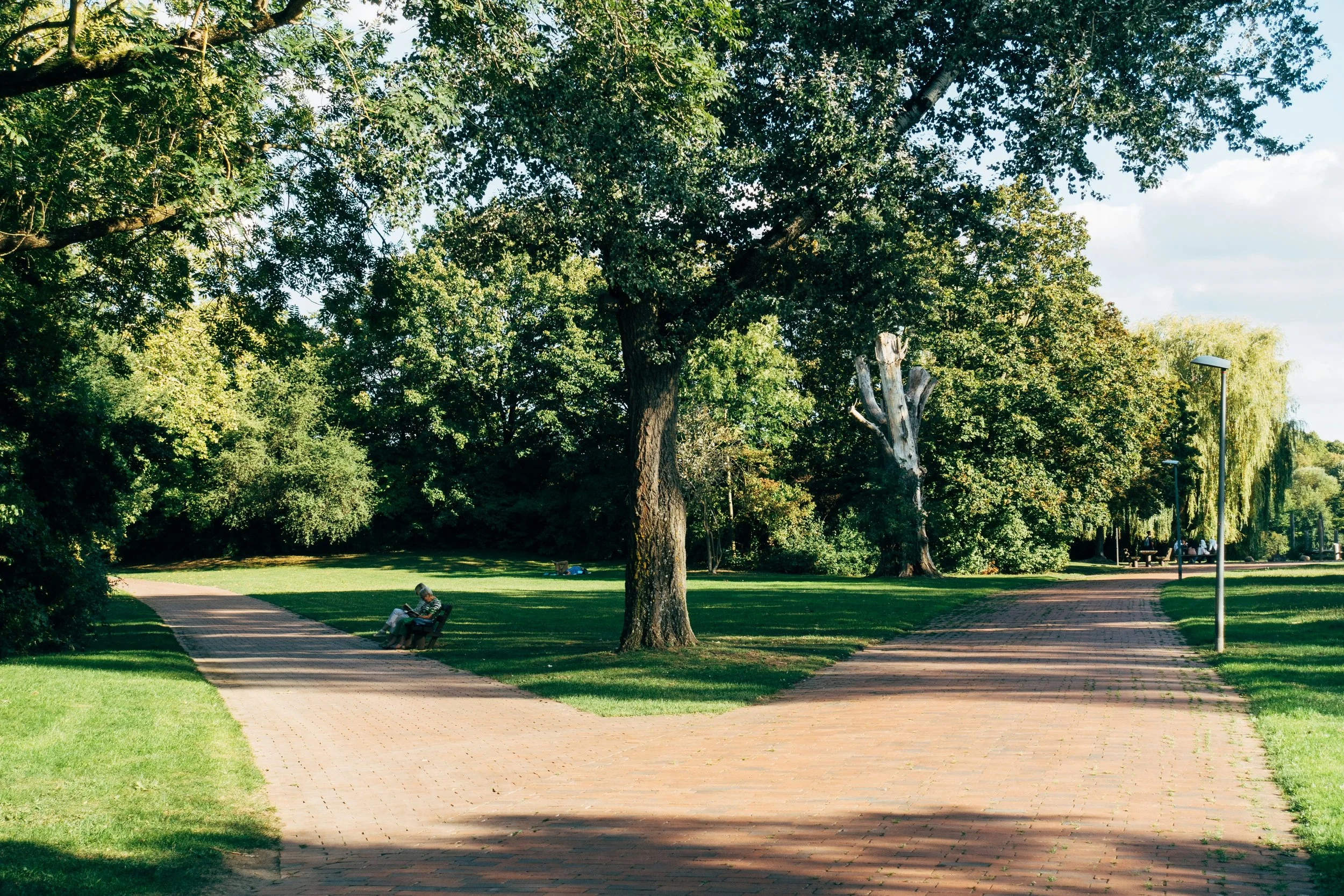 Request a Therapy Appointment or Inquire About Consulting - Trees along a brick path