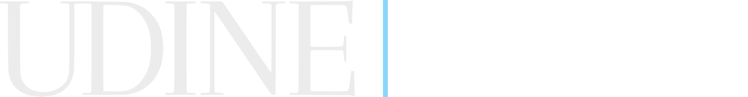 Udine Wealth Management