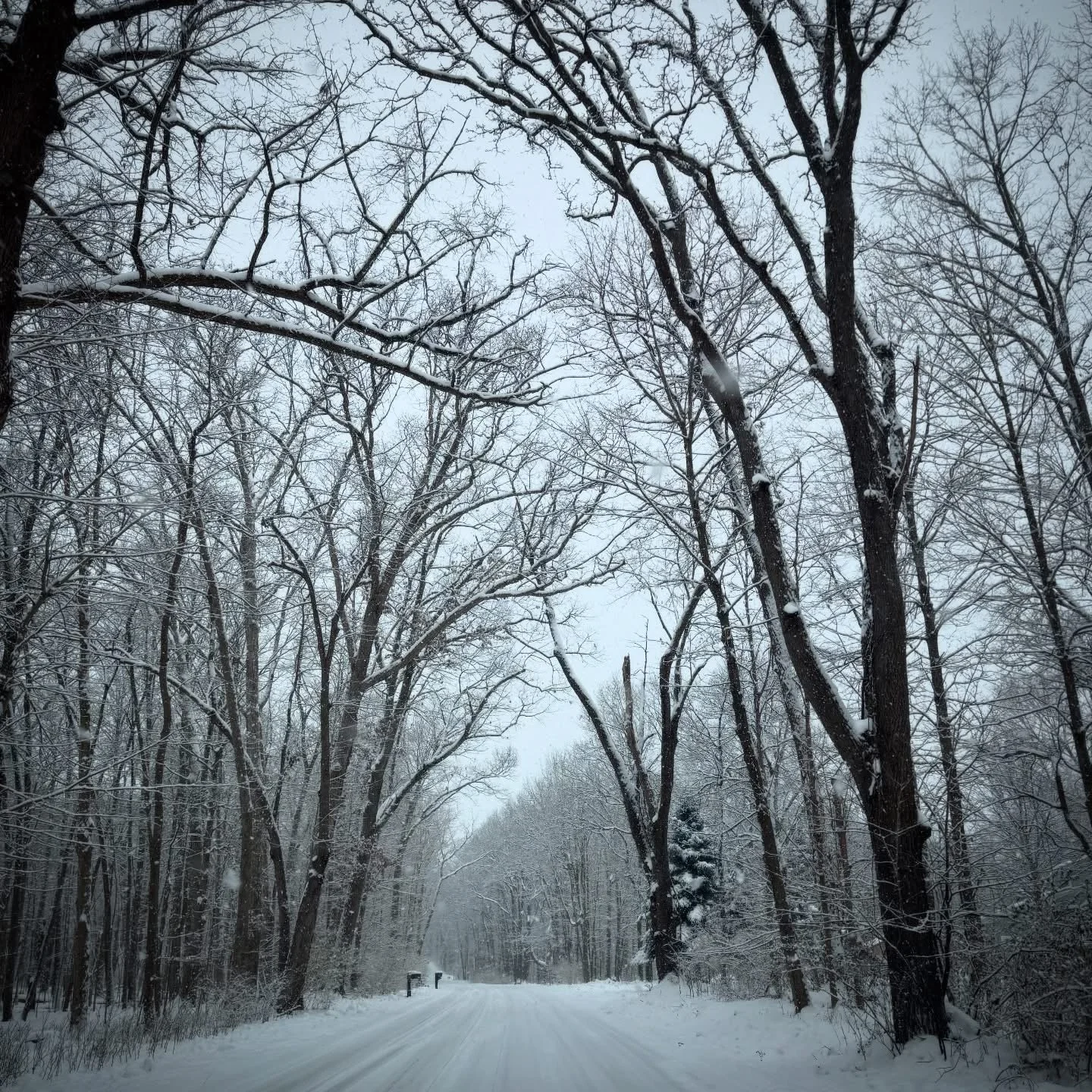 When the Season Isn’t Easy