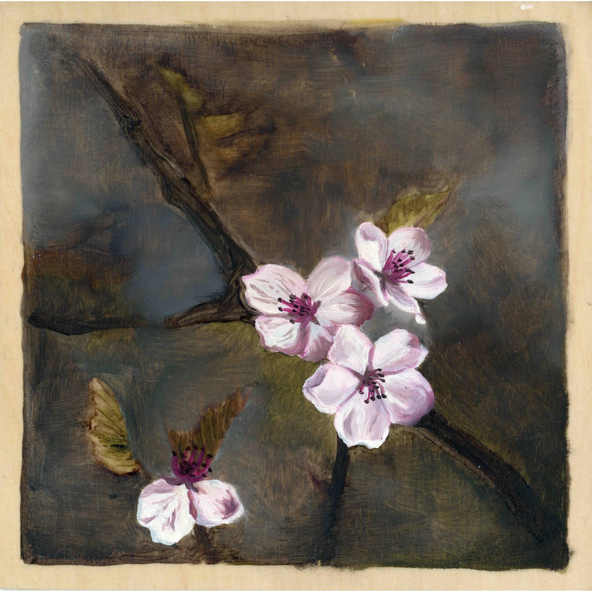the last flowers