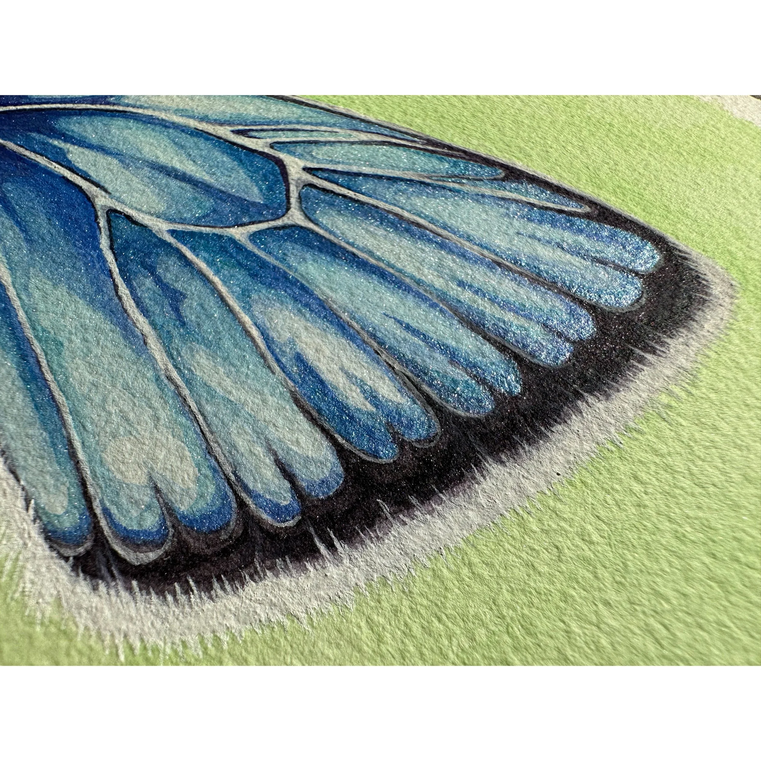 close up macro painting of butterfly wing