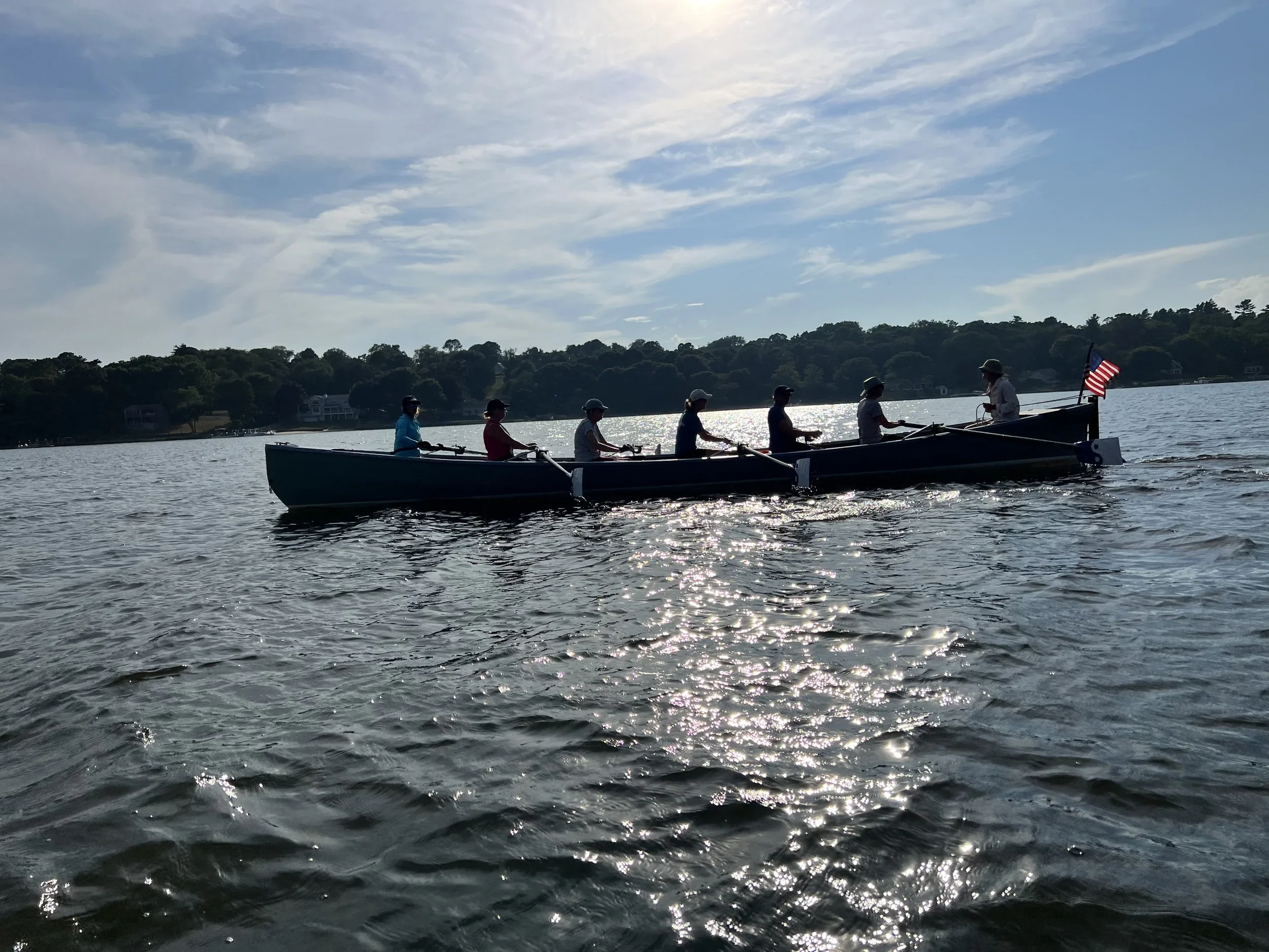 Boats with signs on a grassy shore near a lake, with houses and trees in the background.