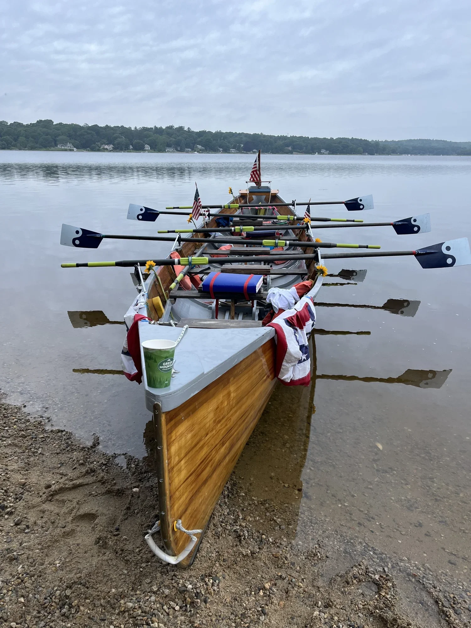 community-rowing.webp