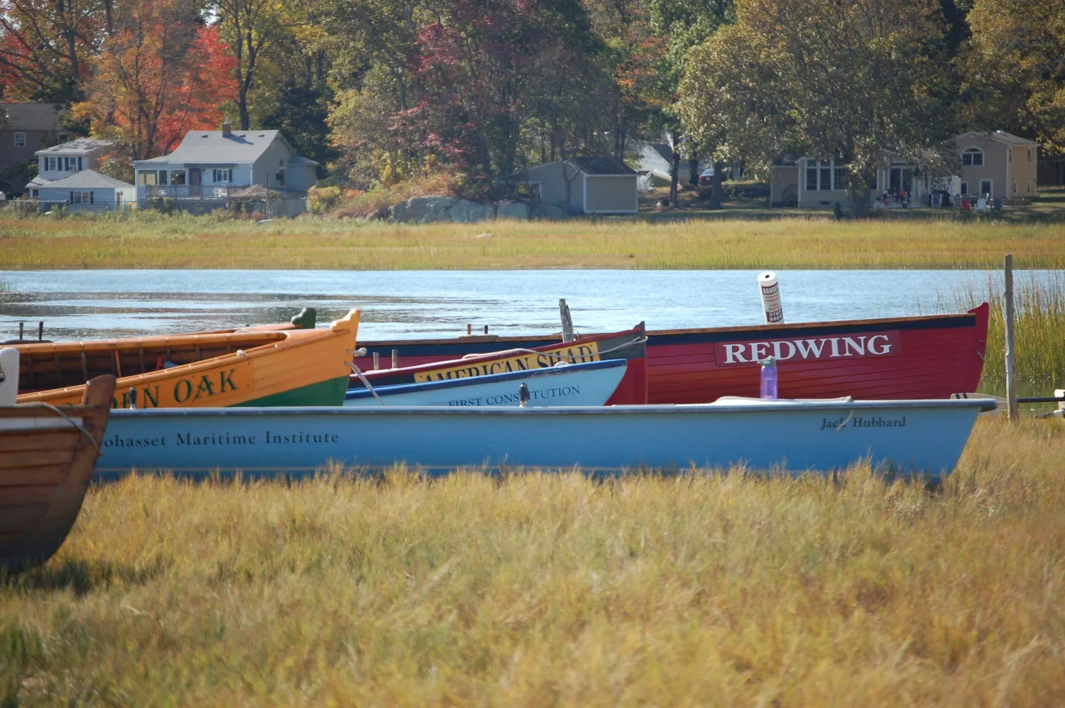 Colorful boats on a grassy shoreline with houses and trees in the background.