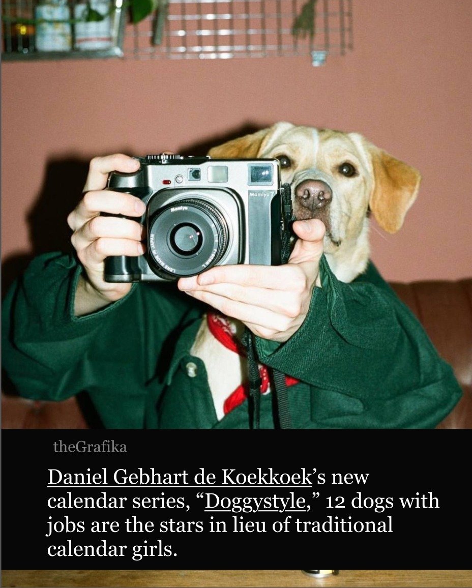 In snapshot-like photos, the dogs wear human clothes buttoned around their furry necks, their eyes gazing blankly or inquisitively at the camera. They perch on humans under the clothes, with hands emerging to hold a phone during a business meeting or