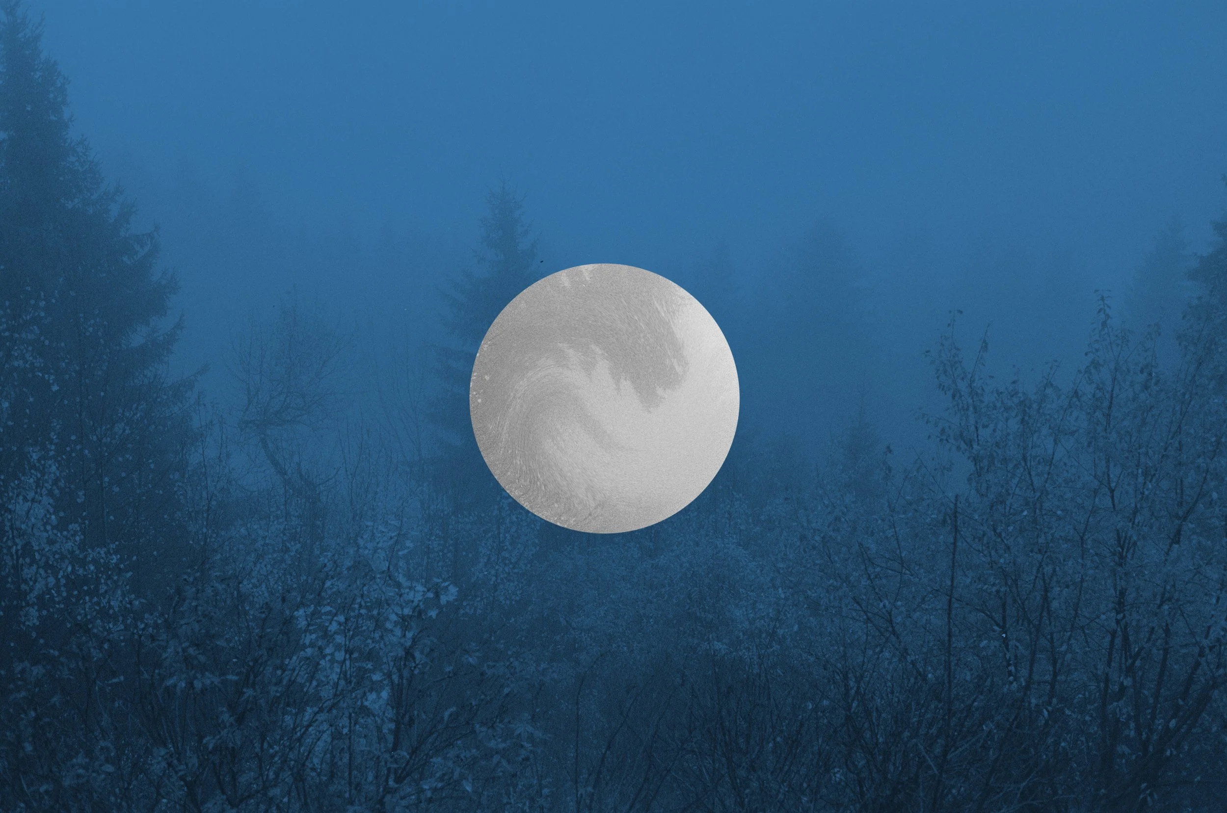 Der Nachthimmel mit sichtbarem Vollmond über einer verschneiten Waldlandschaft mit Tannen und Laubbäumen.
