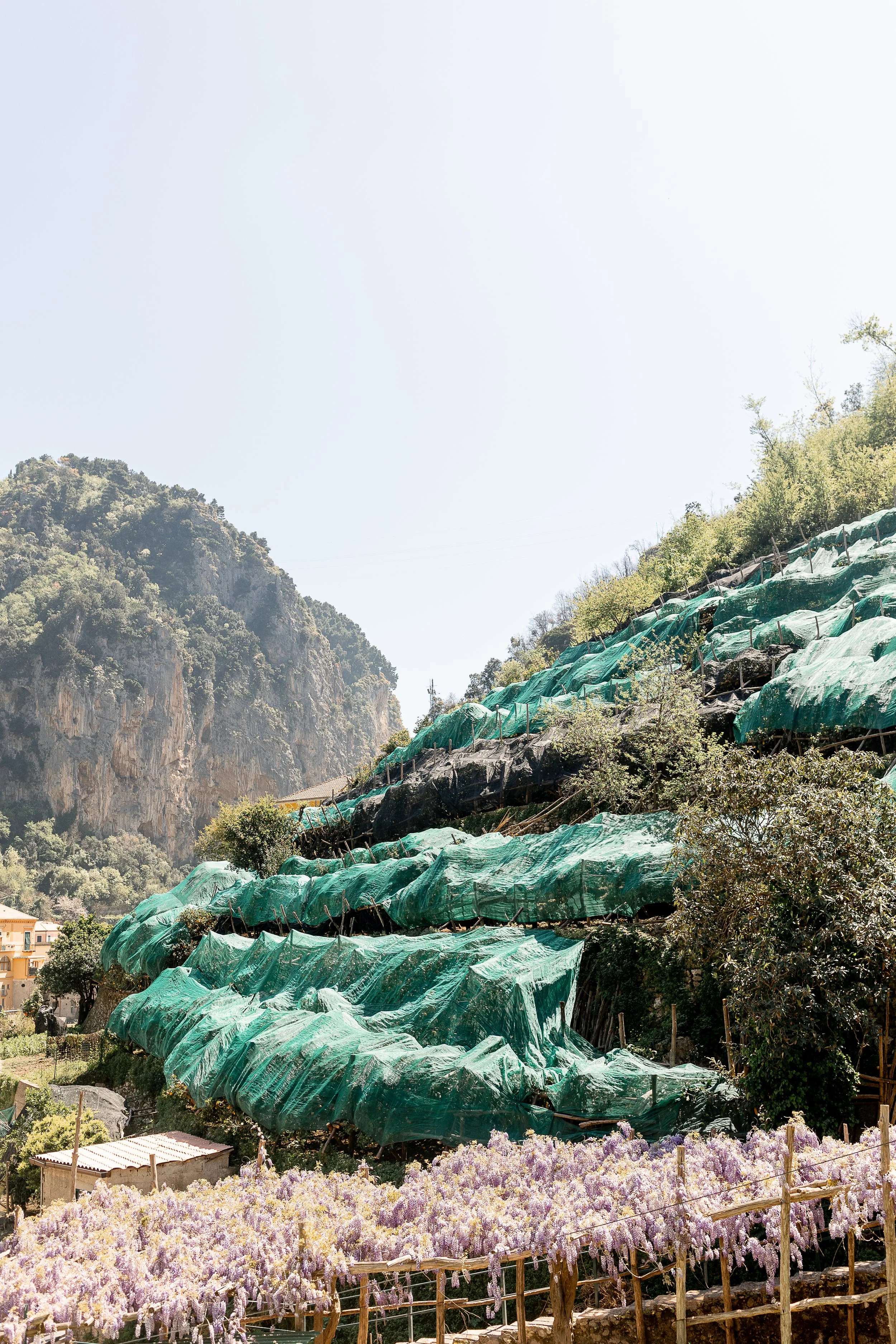 Amalfi-192.jpg