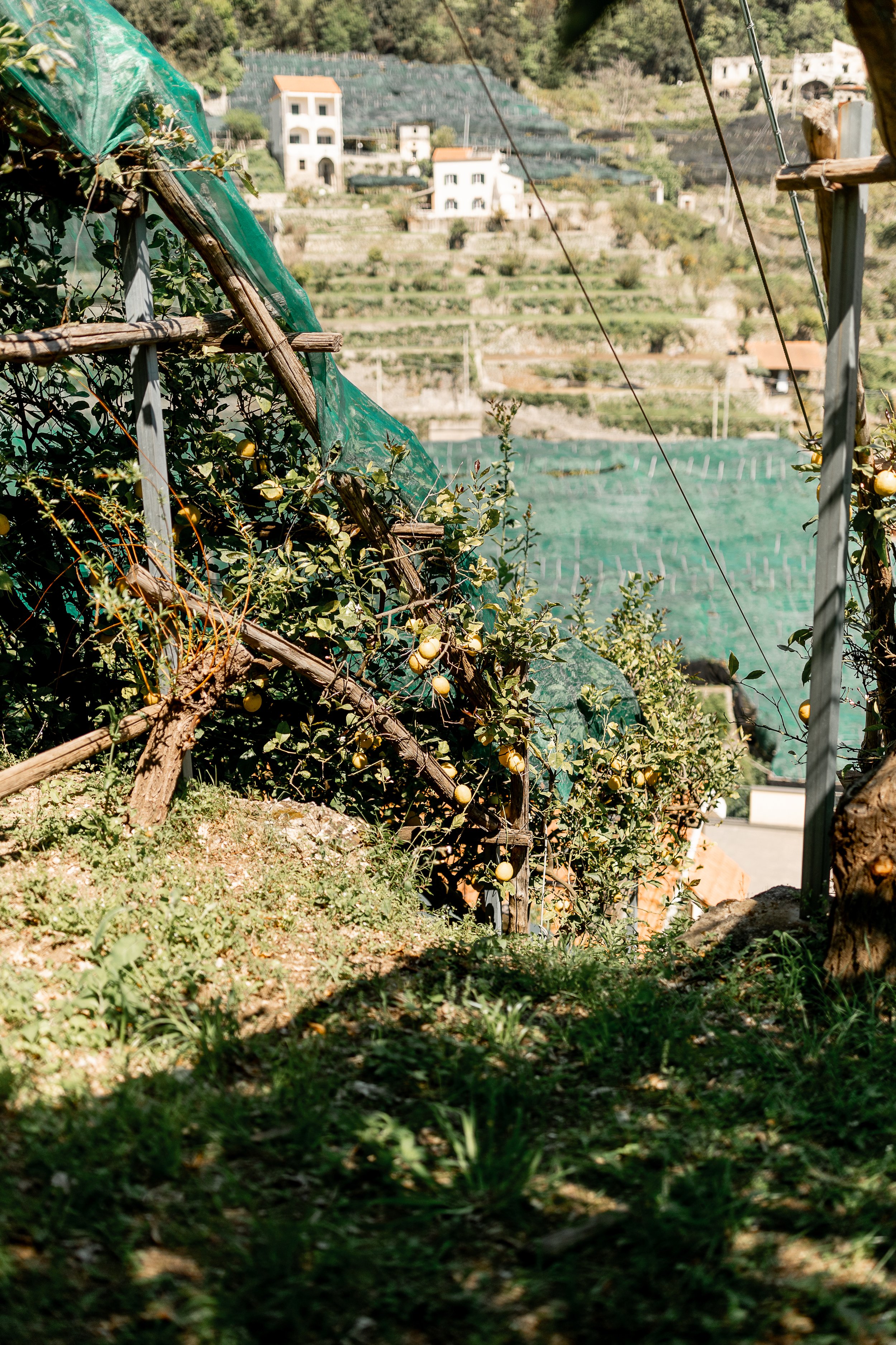 Amalfi-226.jpg