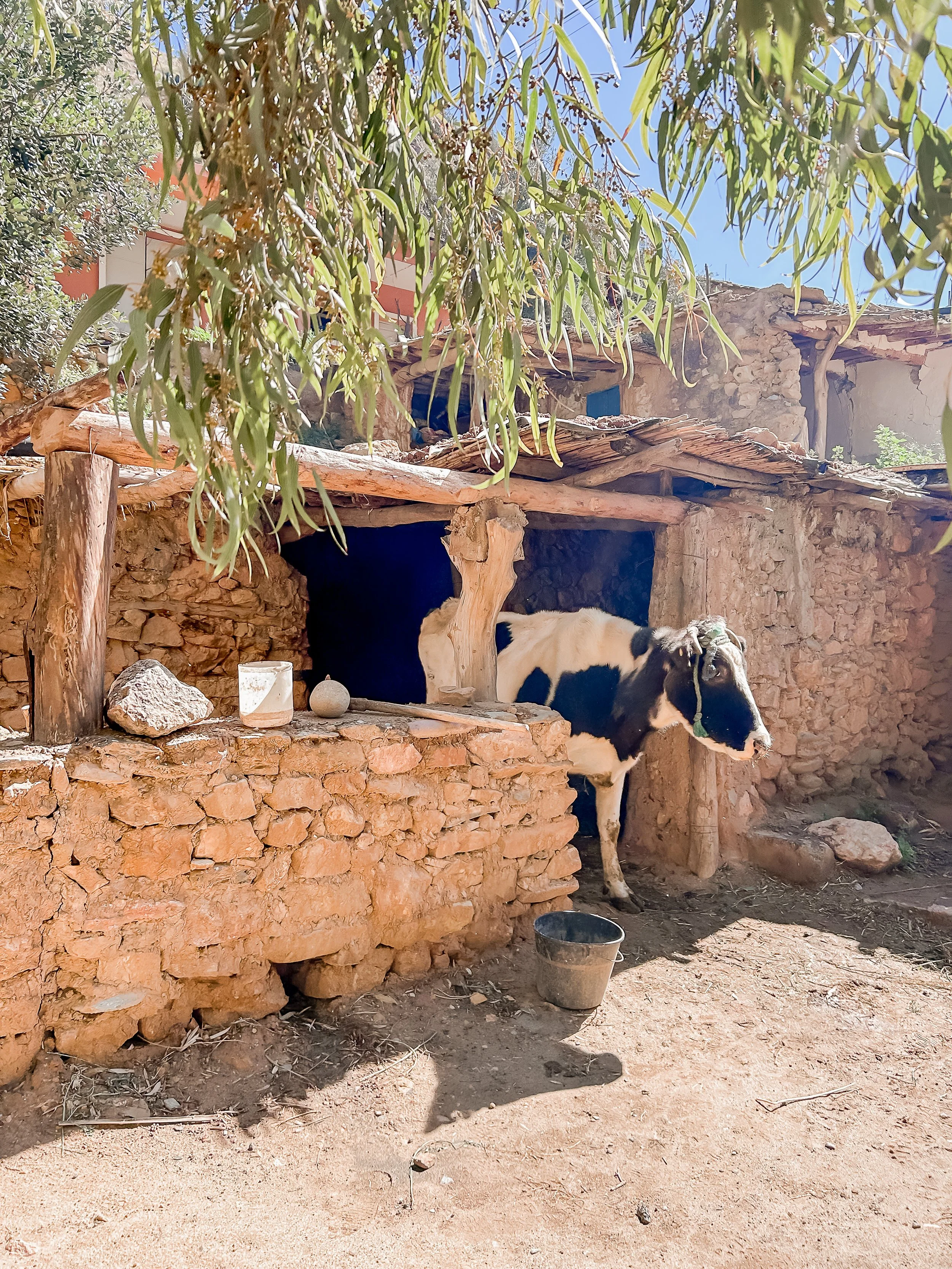 MoroccoPersonal26-504.jpeg