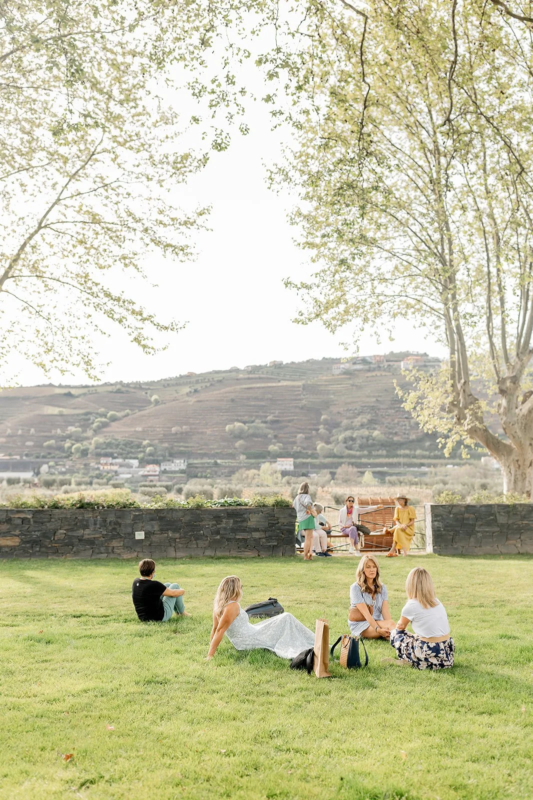 People sitting on green grass in a park with trees and a stone wall in the background.
