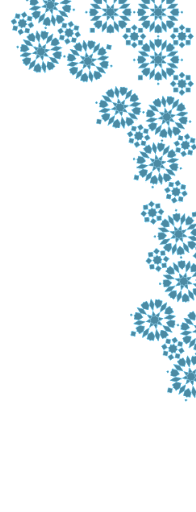 Blue snowflake pattern design along the top and right edge of the image with a white background.