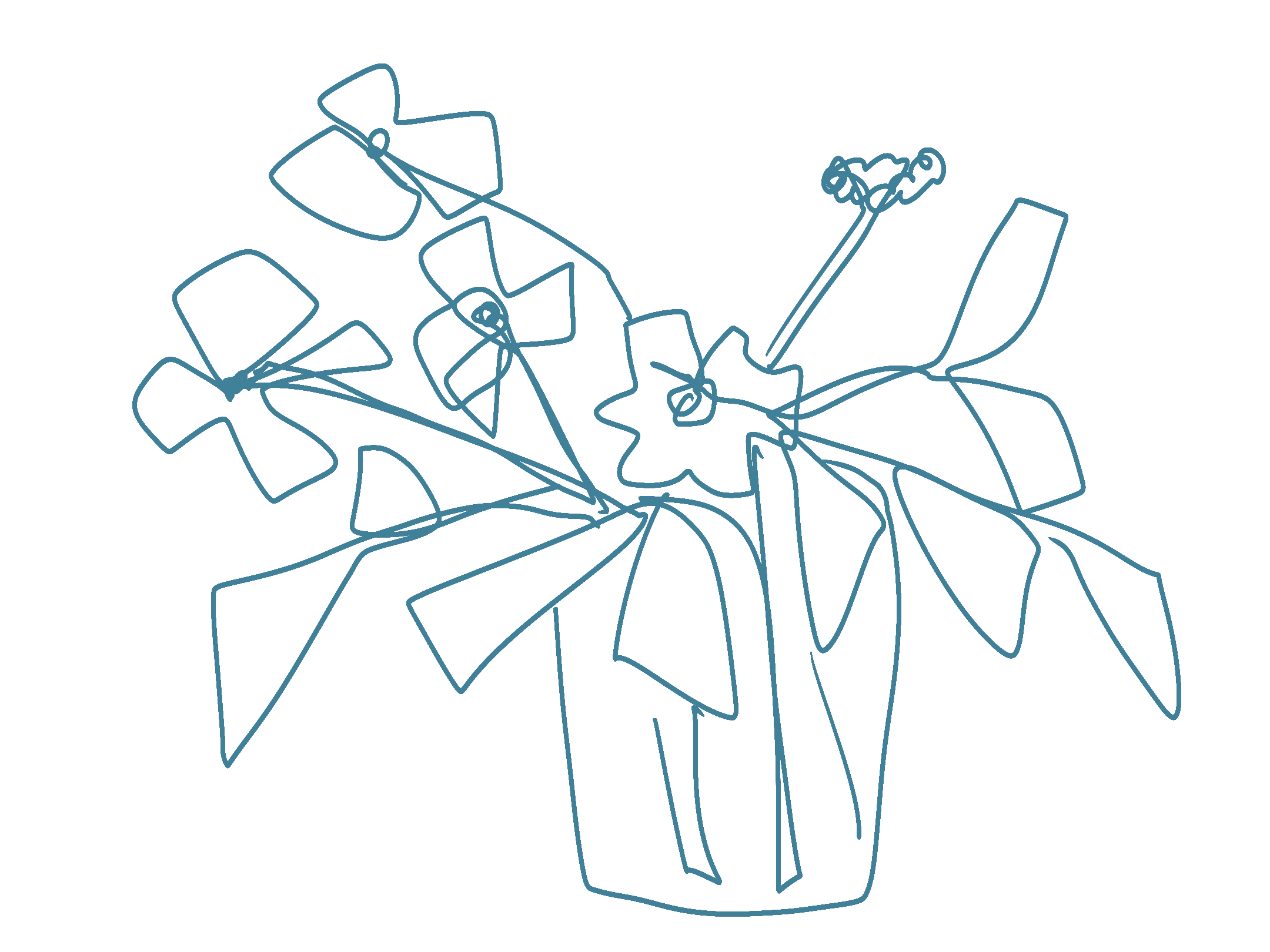 Line drawing of a potted plant with flowers and leaves.