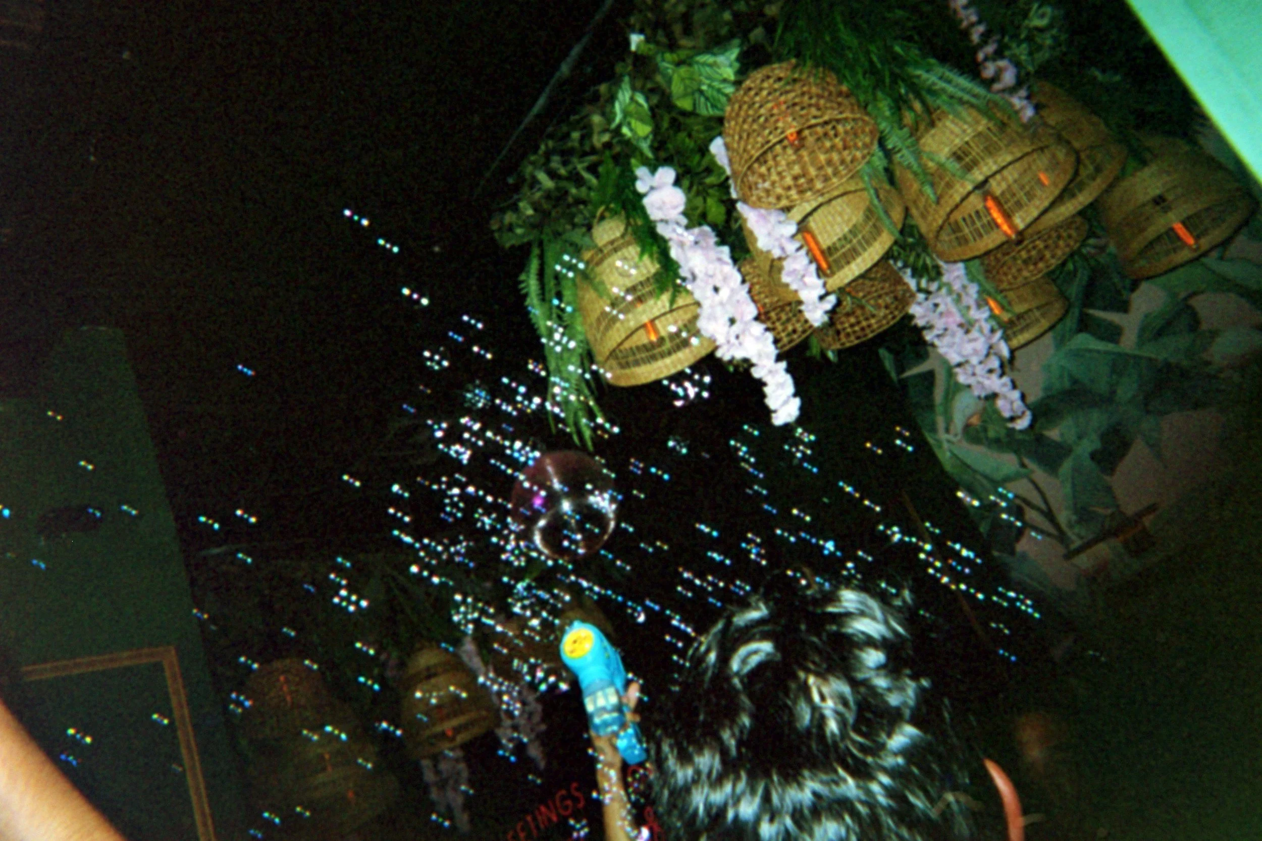 Close-up view of a person's head with black and white hair, as they spray air freshener in front of a decorative wall with hanging wicker lamps and pink flowers, illuminated by small string lights.