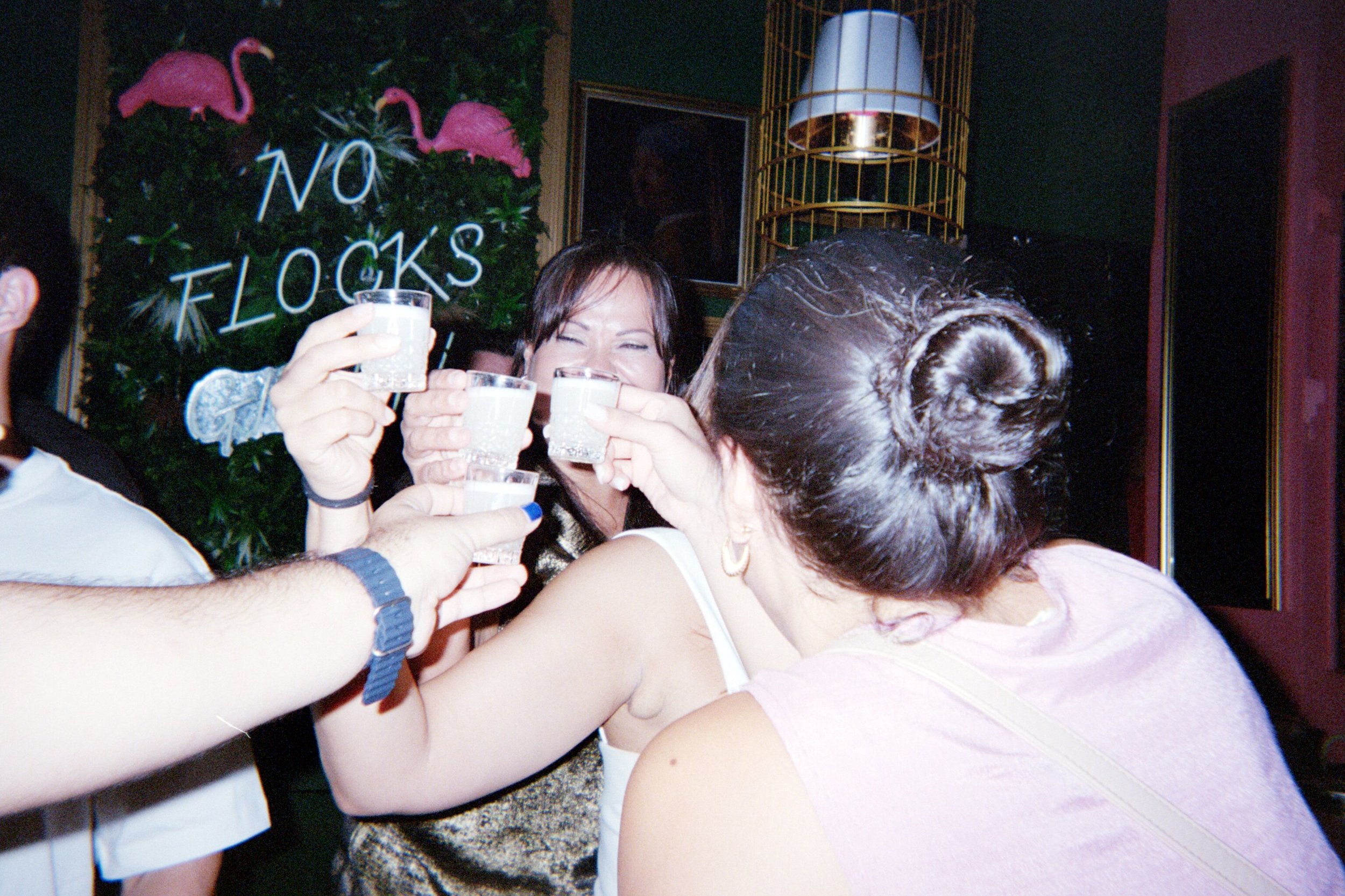 Group of people celebrating with drinks in a bar, with a neon sign that reads 'NO TLOCKS' and pink flamingo decorations in the background.