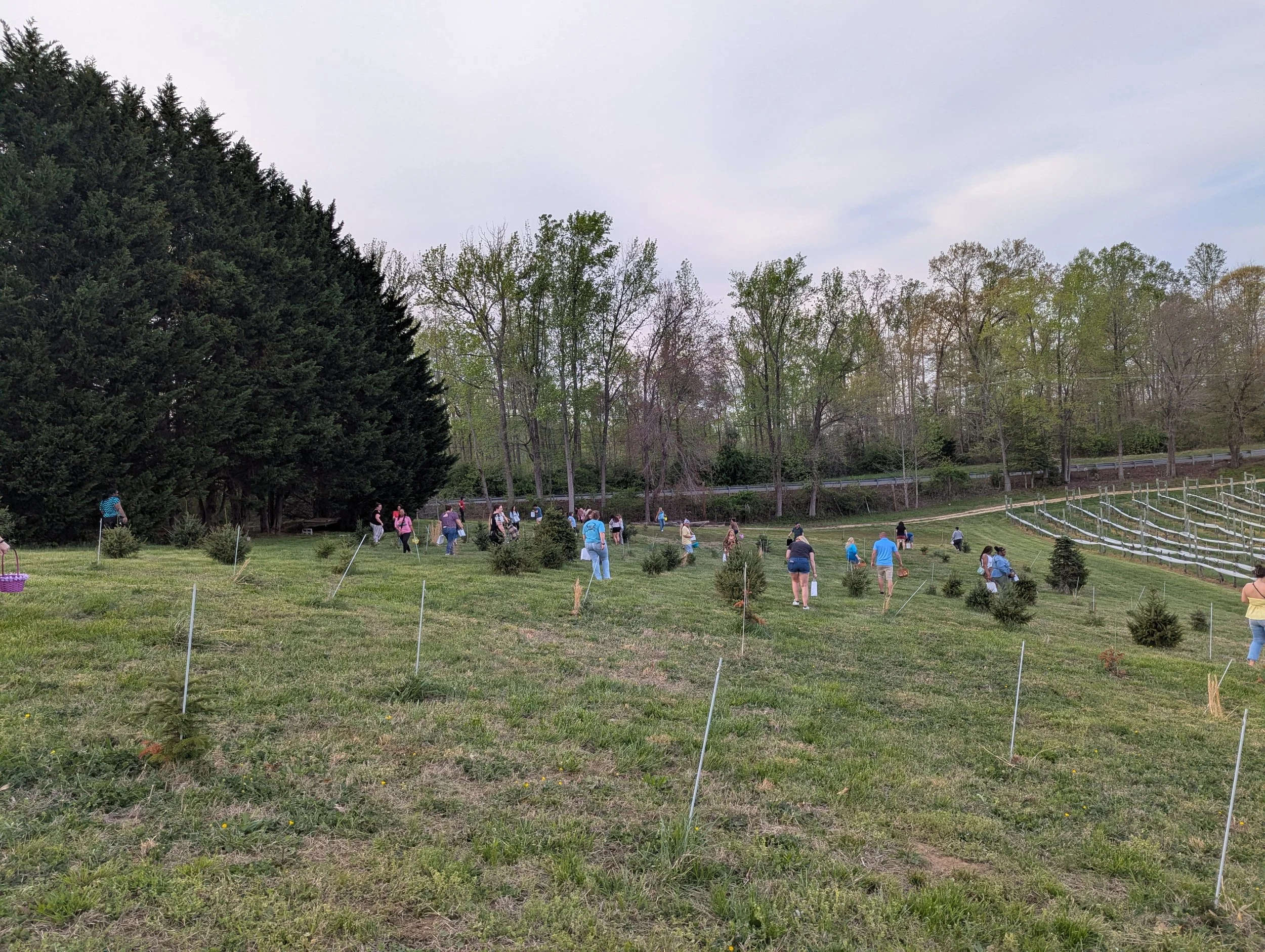 Adult Easter Egg Hunt
