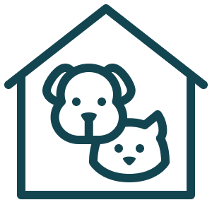 Dog with a bone and a cat inside a house outline.