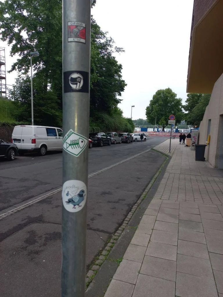 Fischkopp deLux Aufkleber (13).jpeg