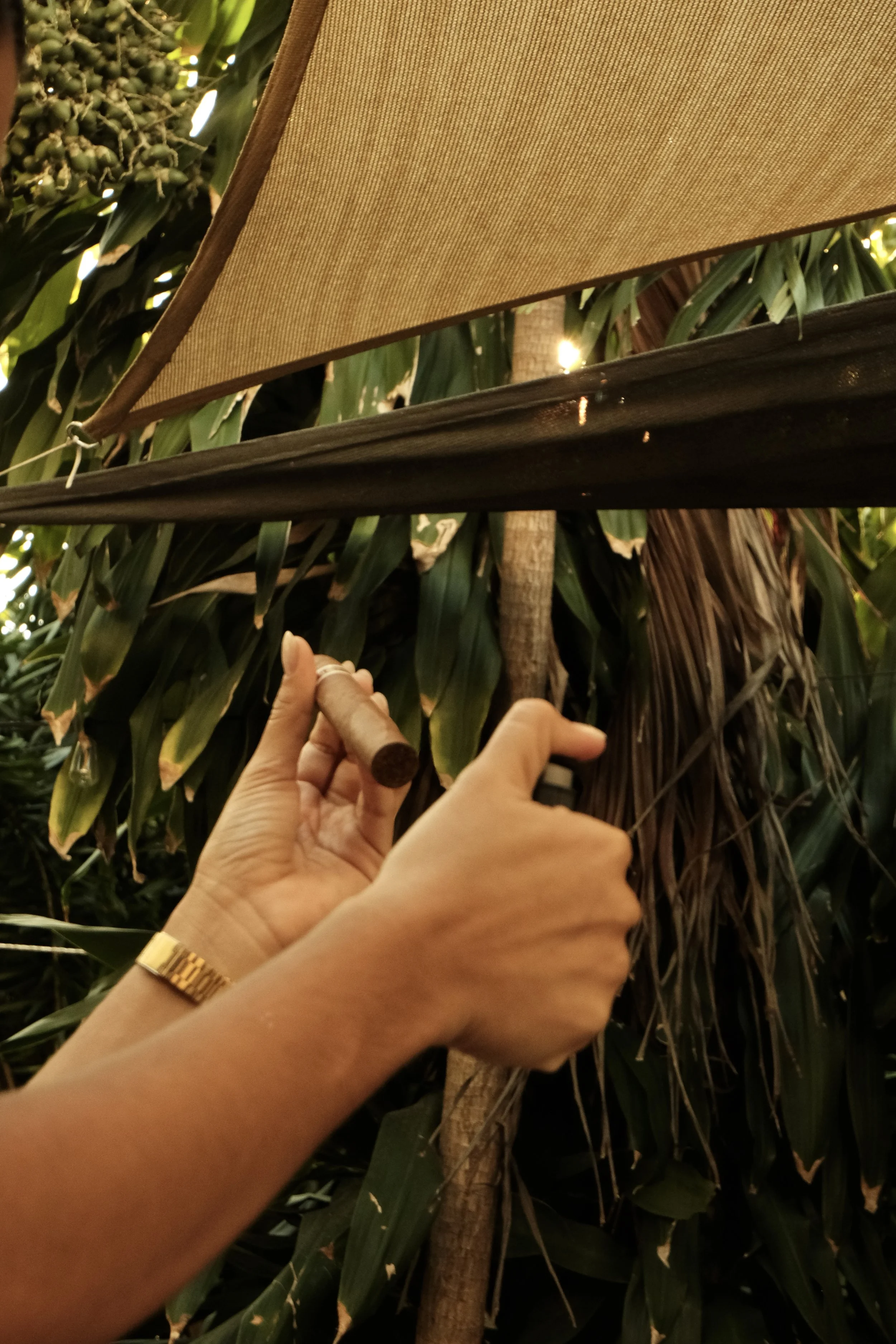 FUJIFILM X-T30 III (000012023552).jpg