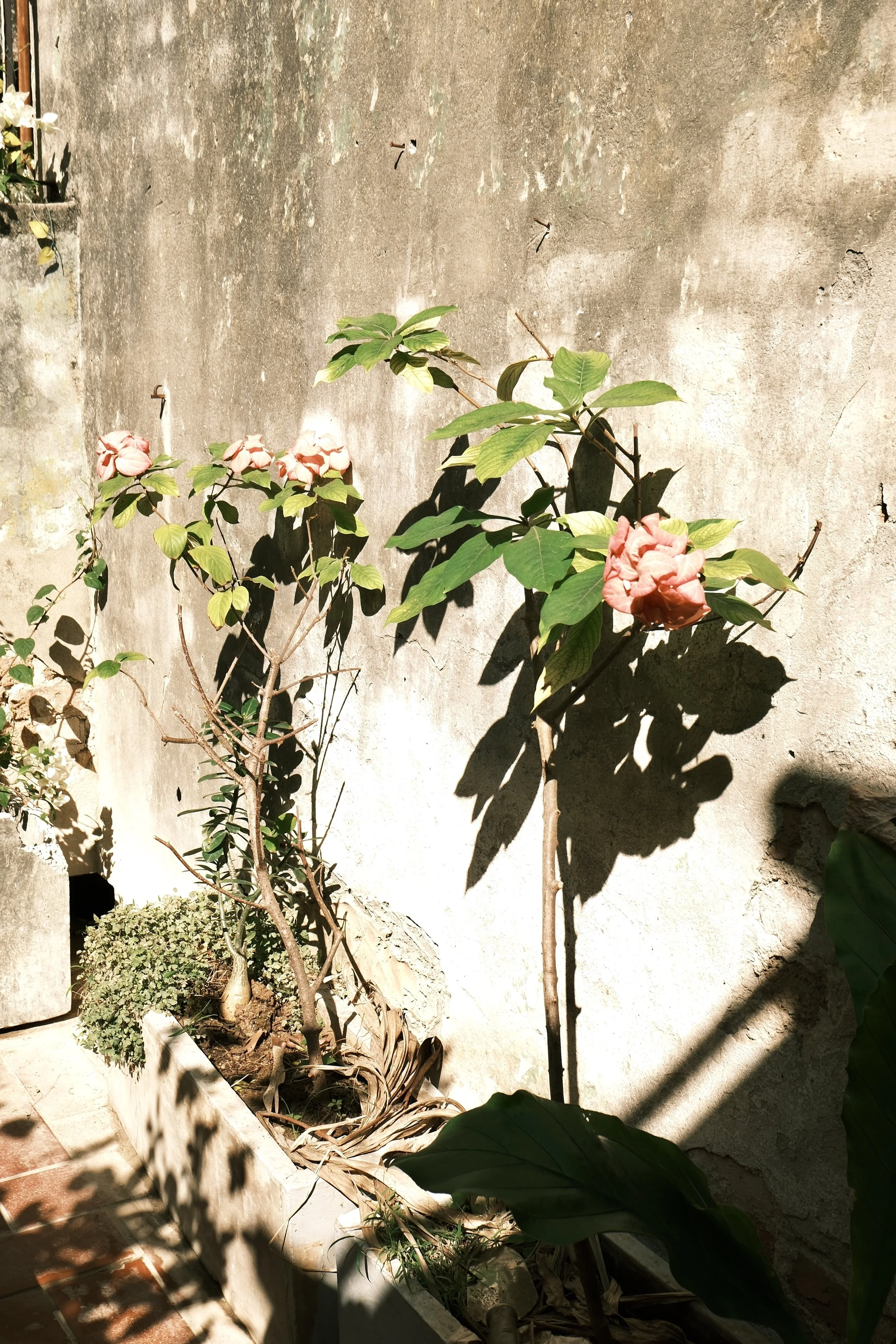 FUJIFILM X-T30 III (000009781760).jpg