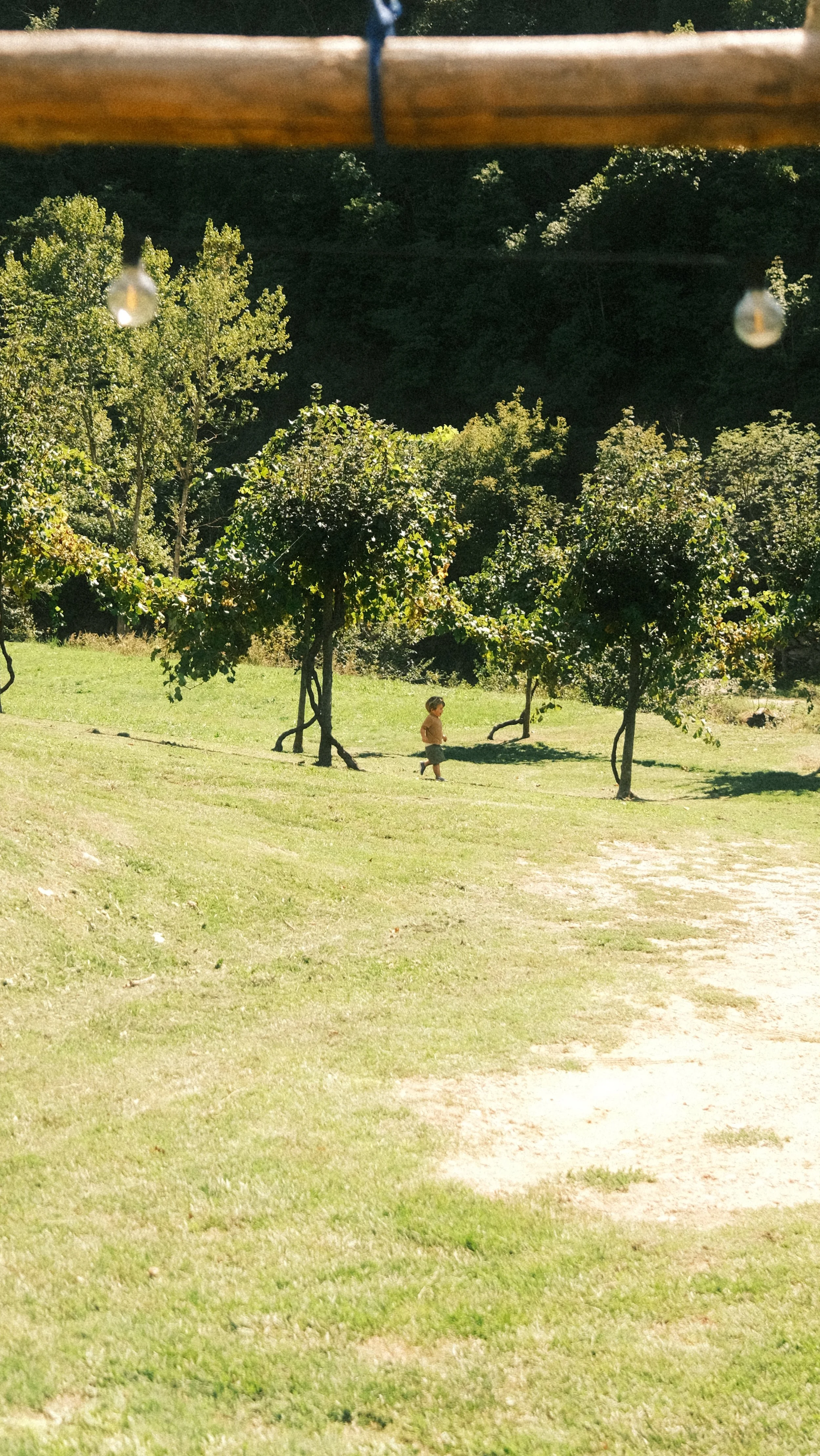 DSCF4393.JPG