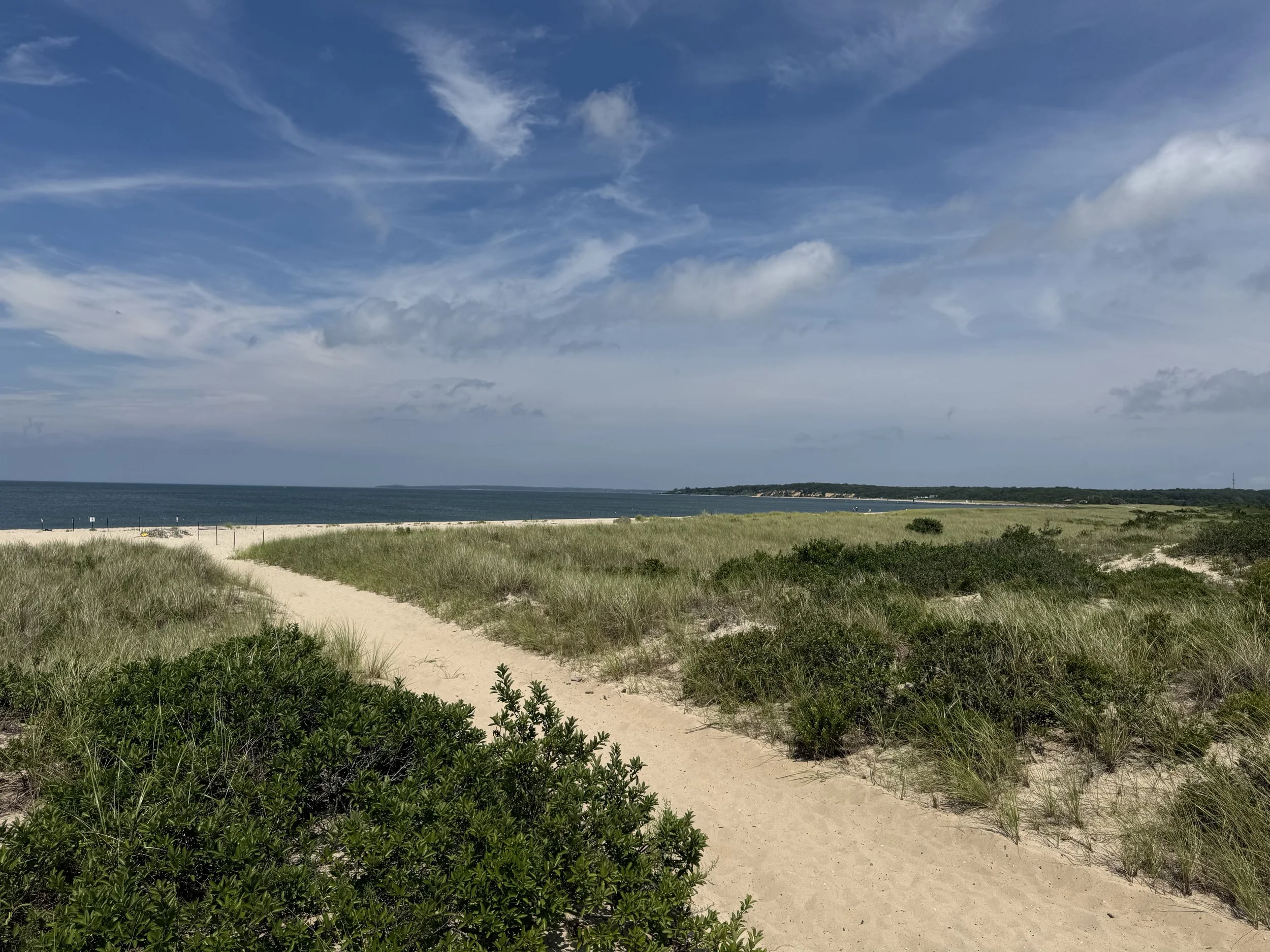 Who is Sammy of Sammy's Beach?