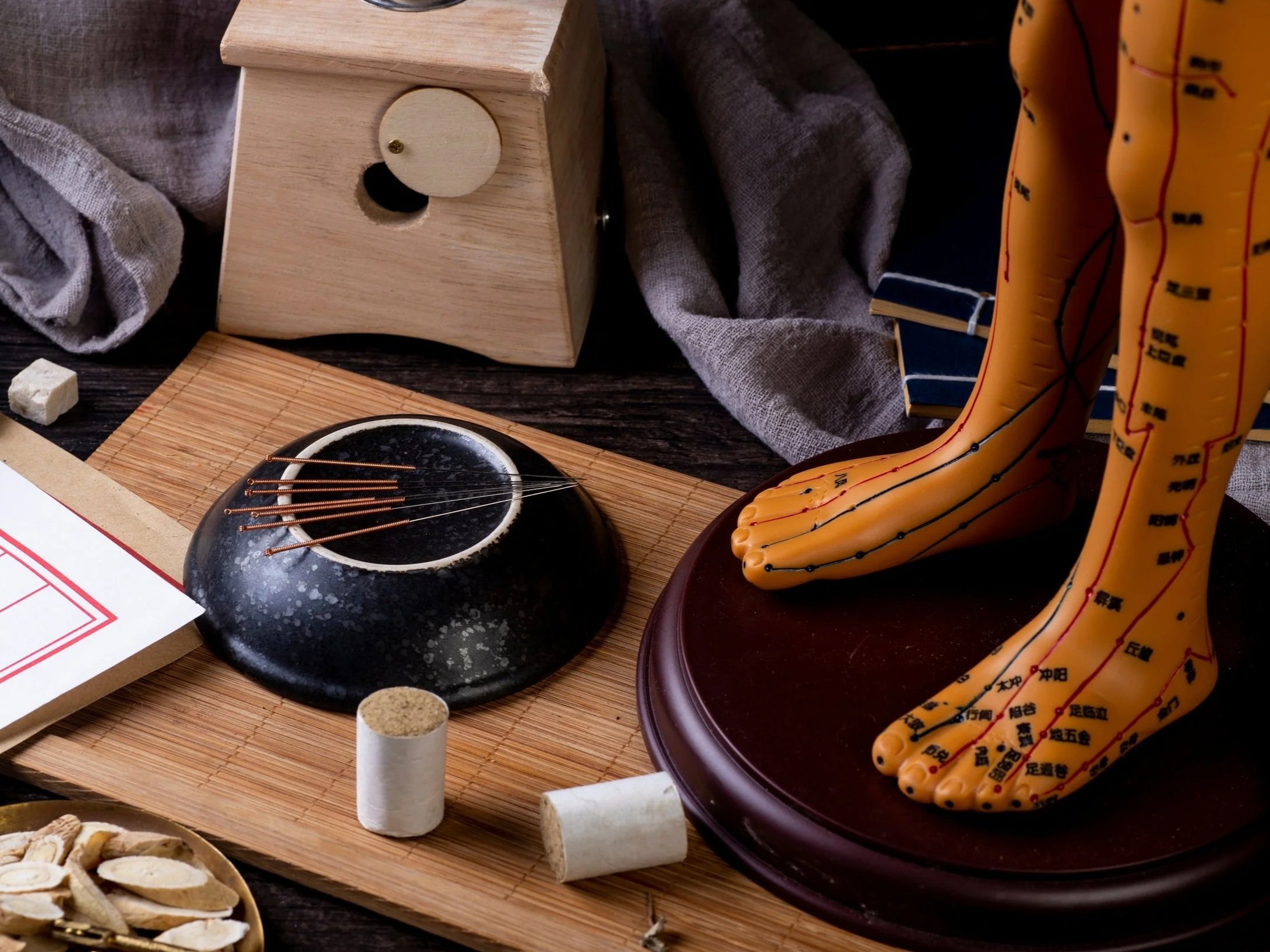 Close-up of a foot of an acupuncture model marked with acupuncture points, a bowl with acupuncture needles, and various moxibustion tools.