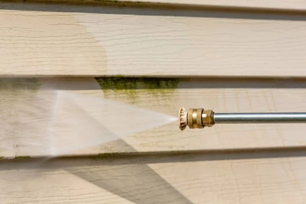 istockphoto-1993882167-612x612.jpg