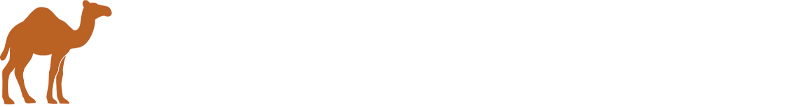 Camel Games Studio