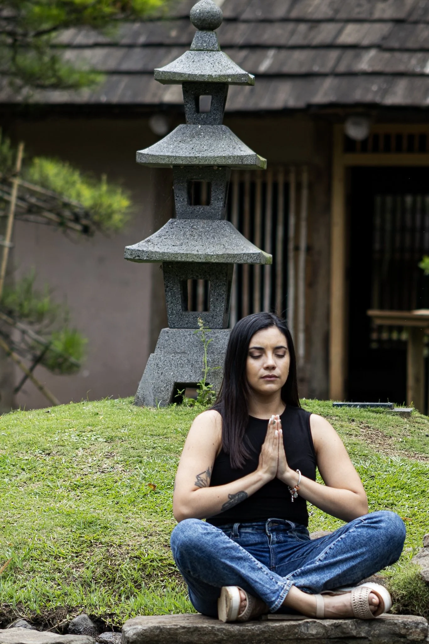 Consulta Ayurvédica Inicial + Seguimiento