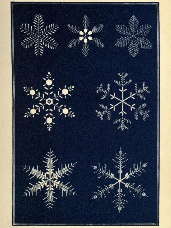 The Book of Nature (snowflakes), Israel Perkins Warren, 1863