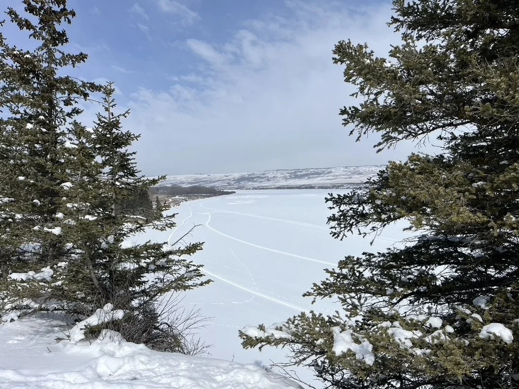 Snow-covered frozen lake seen through pine trees under a partly cloudy sky.