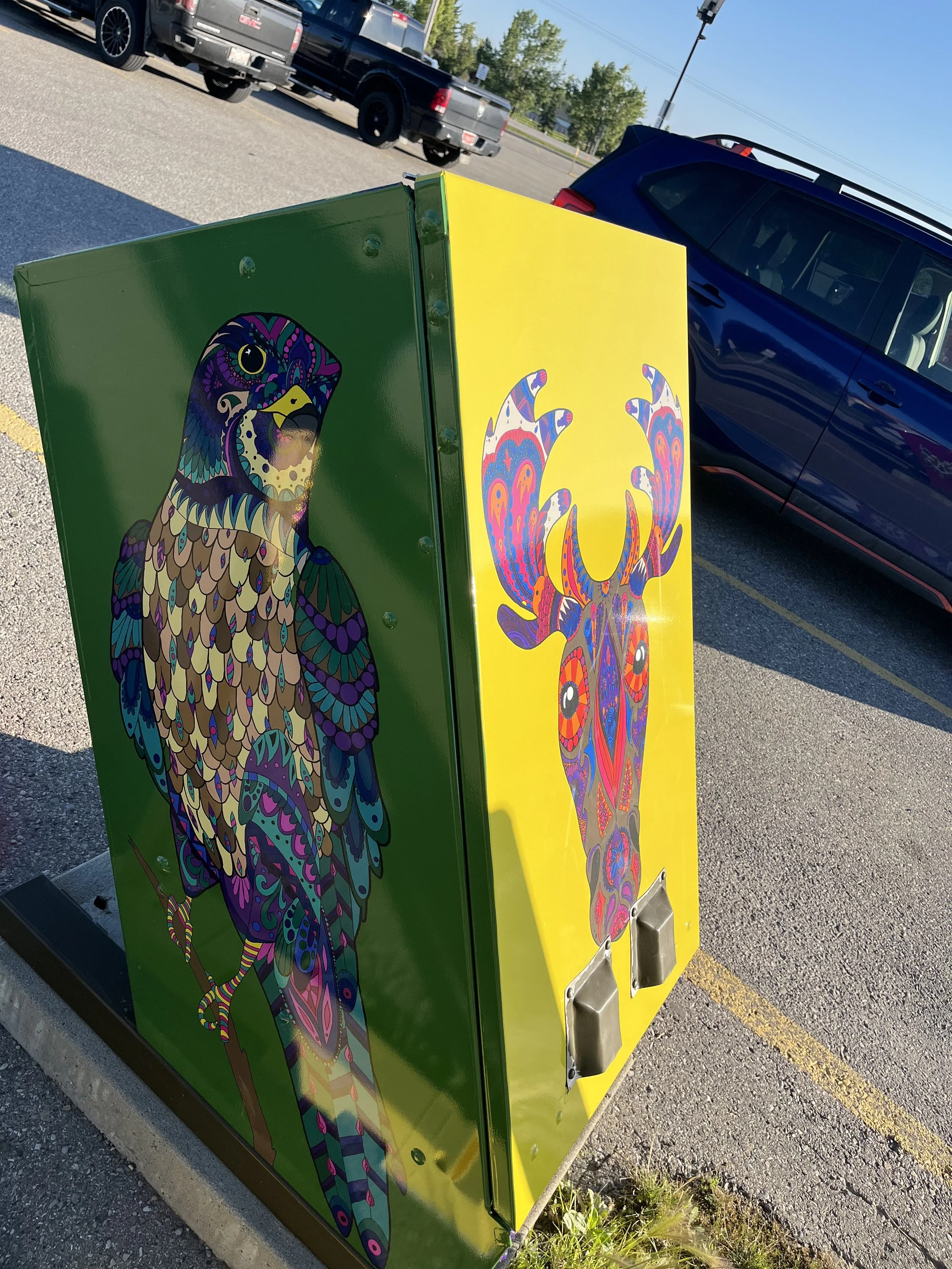 A colorful vending machine featuring vibrant, psychedelic-style artwork of a chameleon on a green and yellow background, positioned on a parking lot with cars in the background.