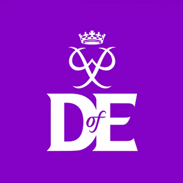 Purple background with a white logo consisting of a crown, a stylized monogram 'V', and the text 'D of E'.