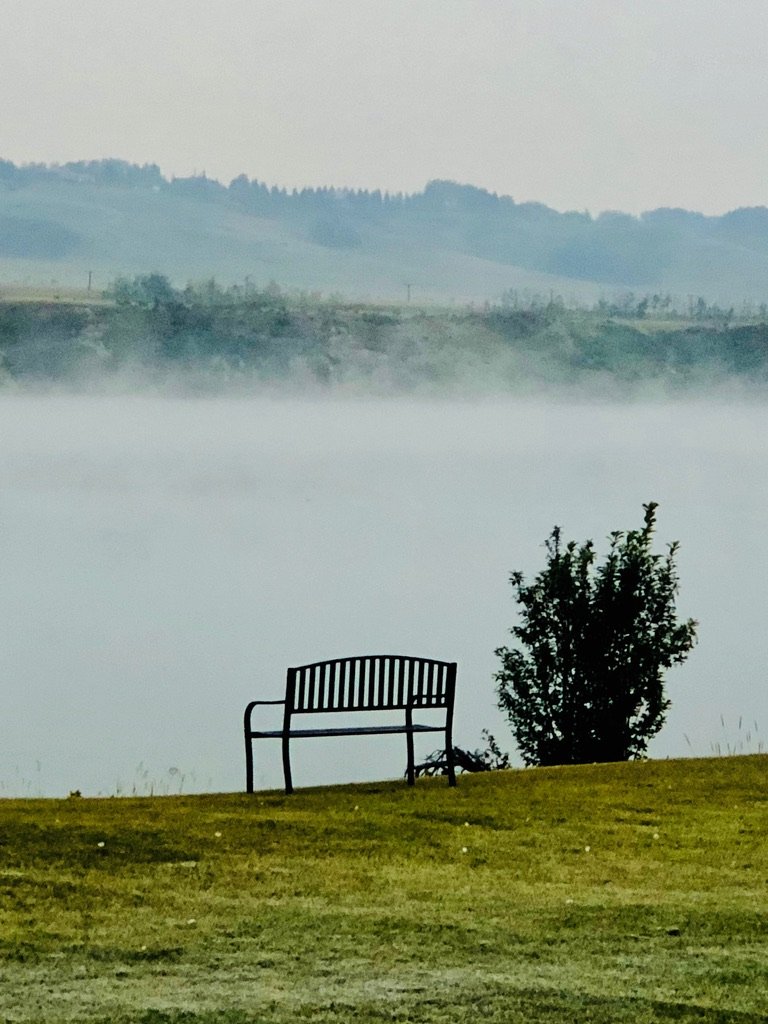 A black metal park bench on a grassy area next to a small bush, with a foggy body of water and distant hills in the background.