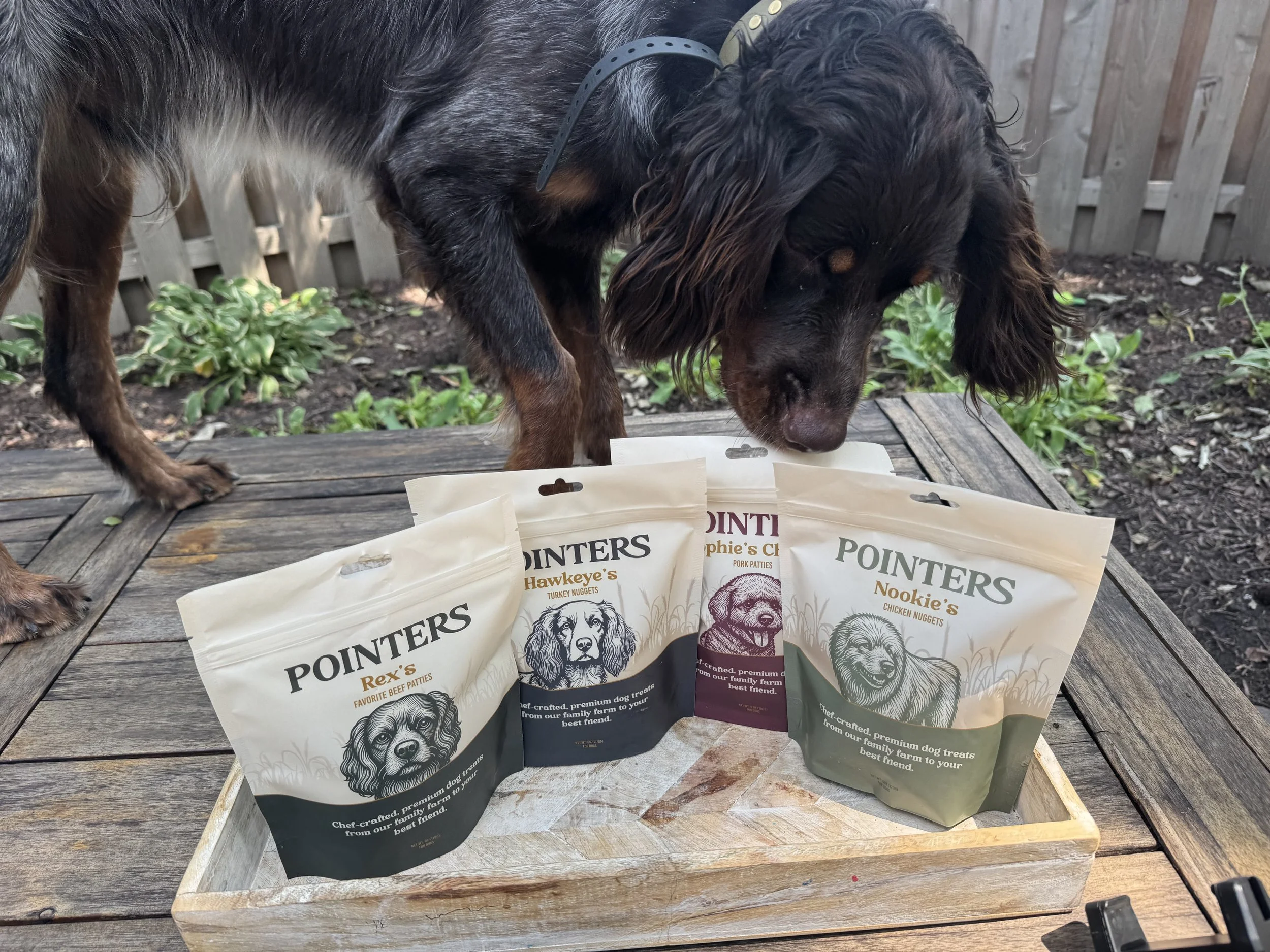 Why Ingredient Transparency Matters: What’s Really in Your Dog’s Treats?