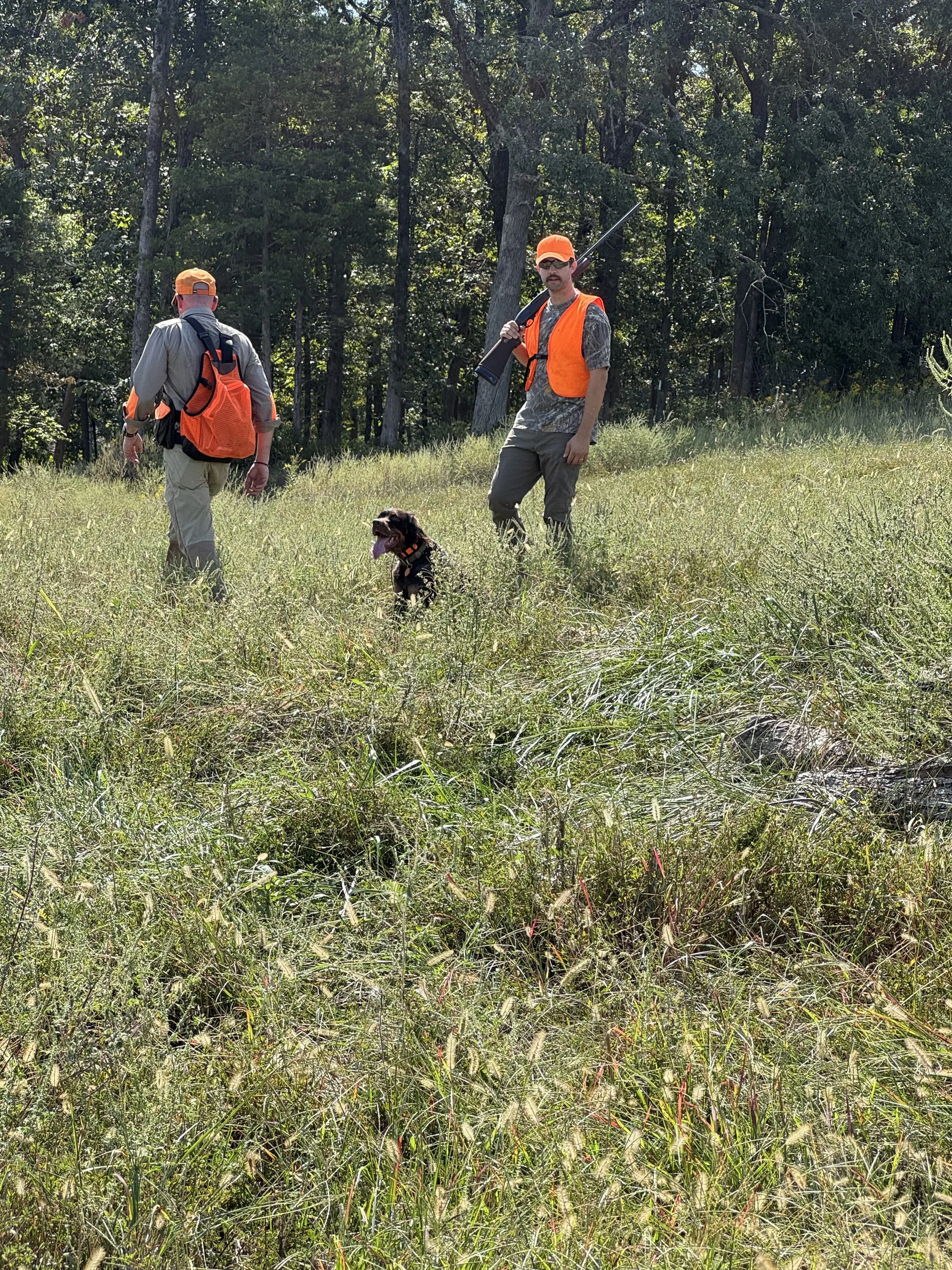 Building Focus Off-Leash: Training Games for the Trail and Field