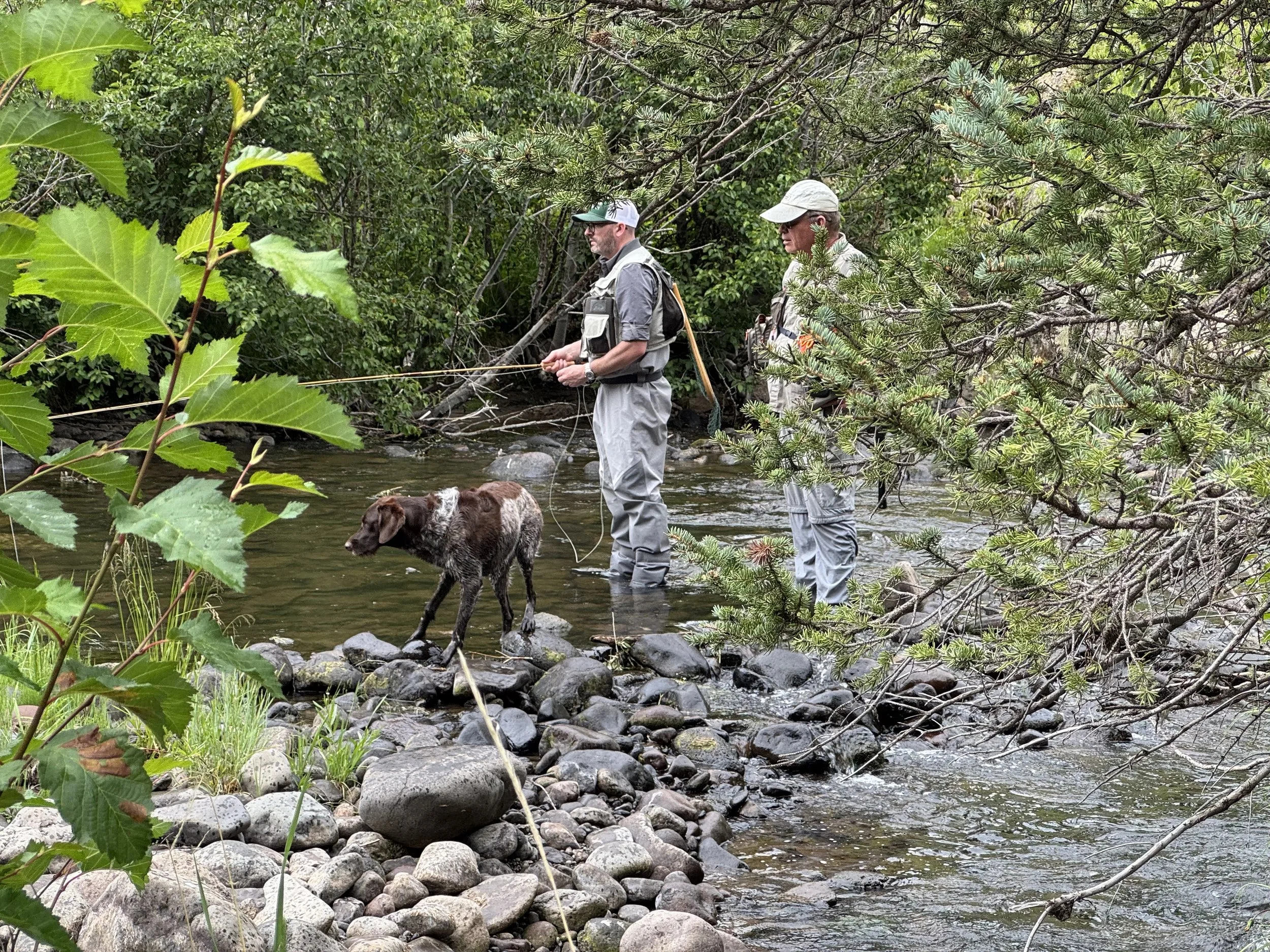 Casting with Your Canine: Tips for Bringing Your Dog Along on Fishing Trips