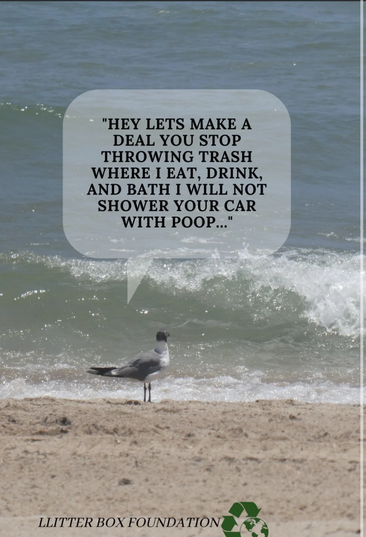 A seagull standing on the sand at the beach with ocean waves in the background. There is a speech bubble with a message about environmental responsibility. The bottom of the image displays the text 'LITTER BOX FOUNDATION' and a recycling symbol with