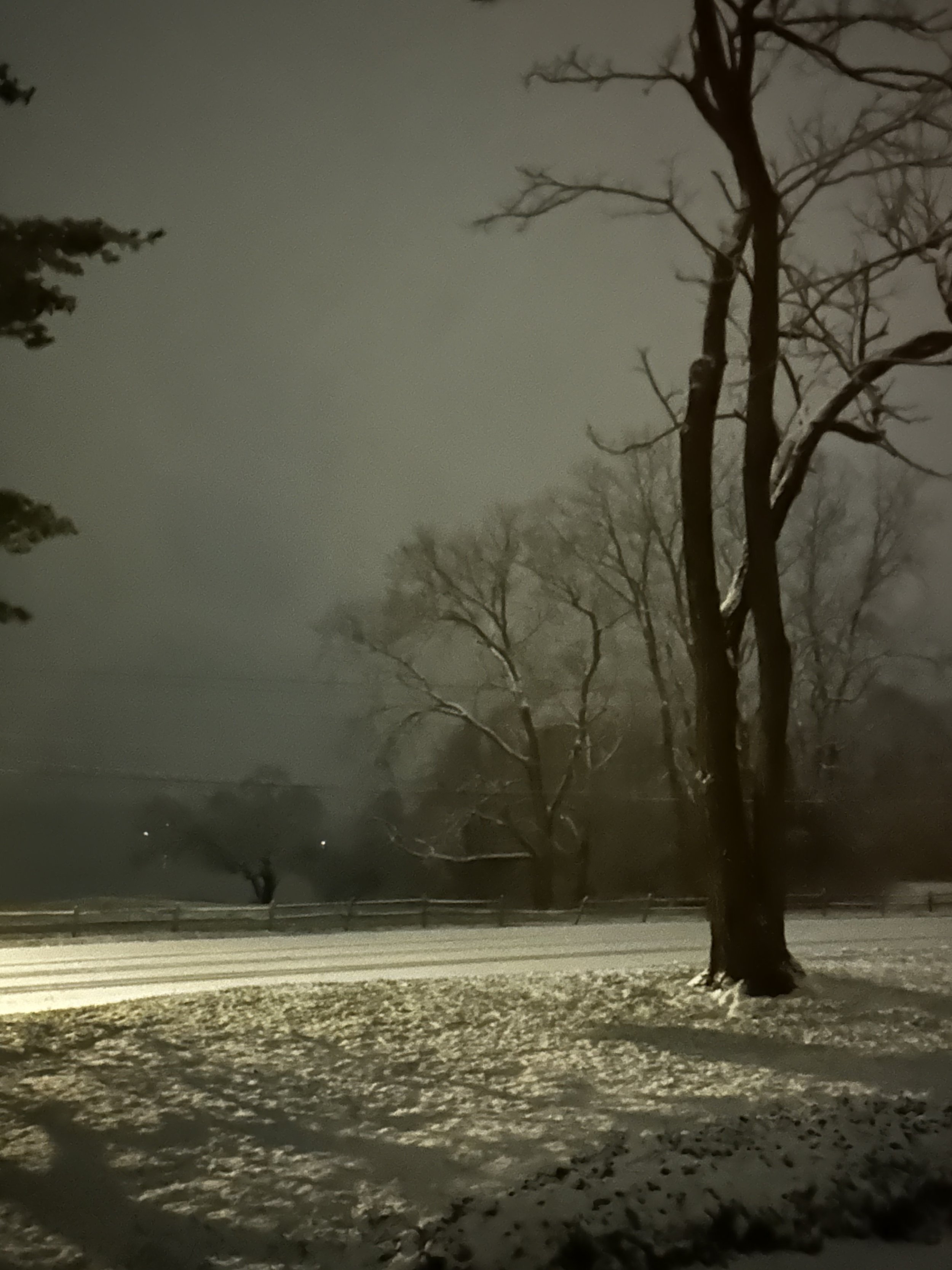 Snow-covered landscape with bare trees and a road at night, illuminated by a nearby light, foggy or misty atmosphere.
