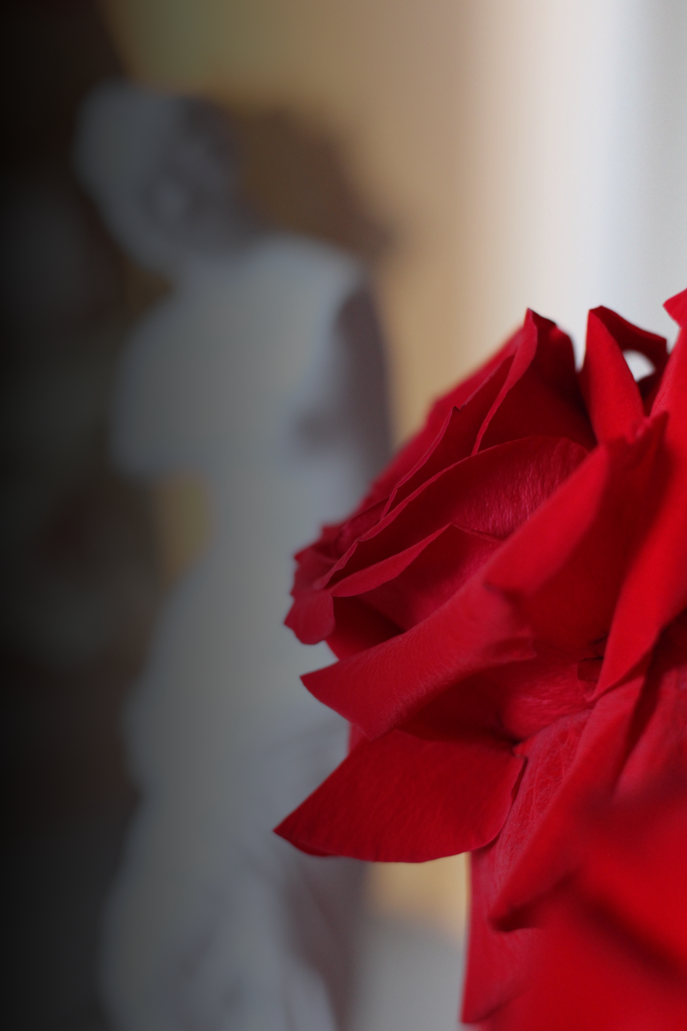 Weekly Signature Arrangement