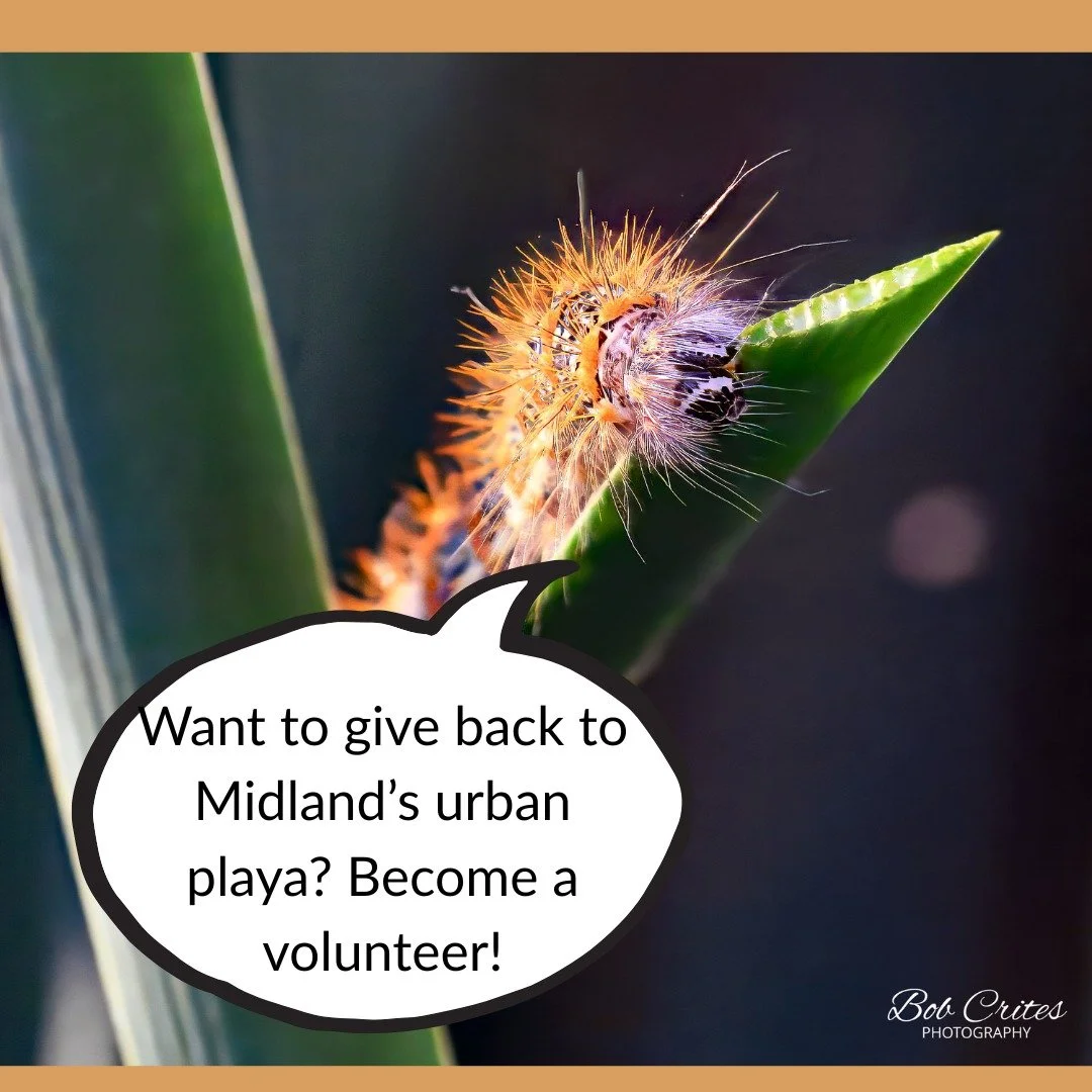 Hey friends! Our education team is looking for a few extra helping hands this fall. Join us in inspiring the next generation of nature lovers through hands-on, outdoor learning! 
We have several upcoming volunteer opportunities:
 -October 17th &