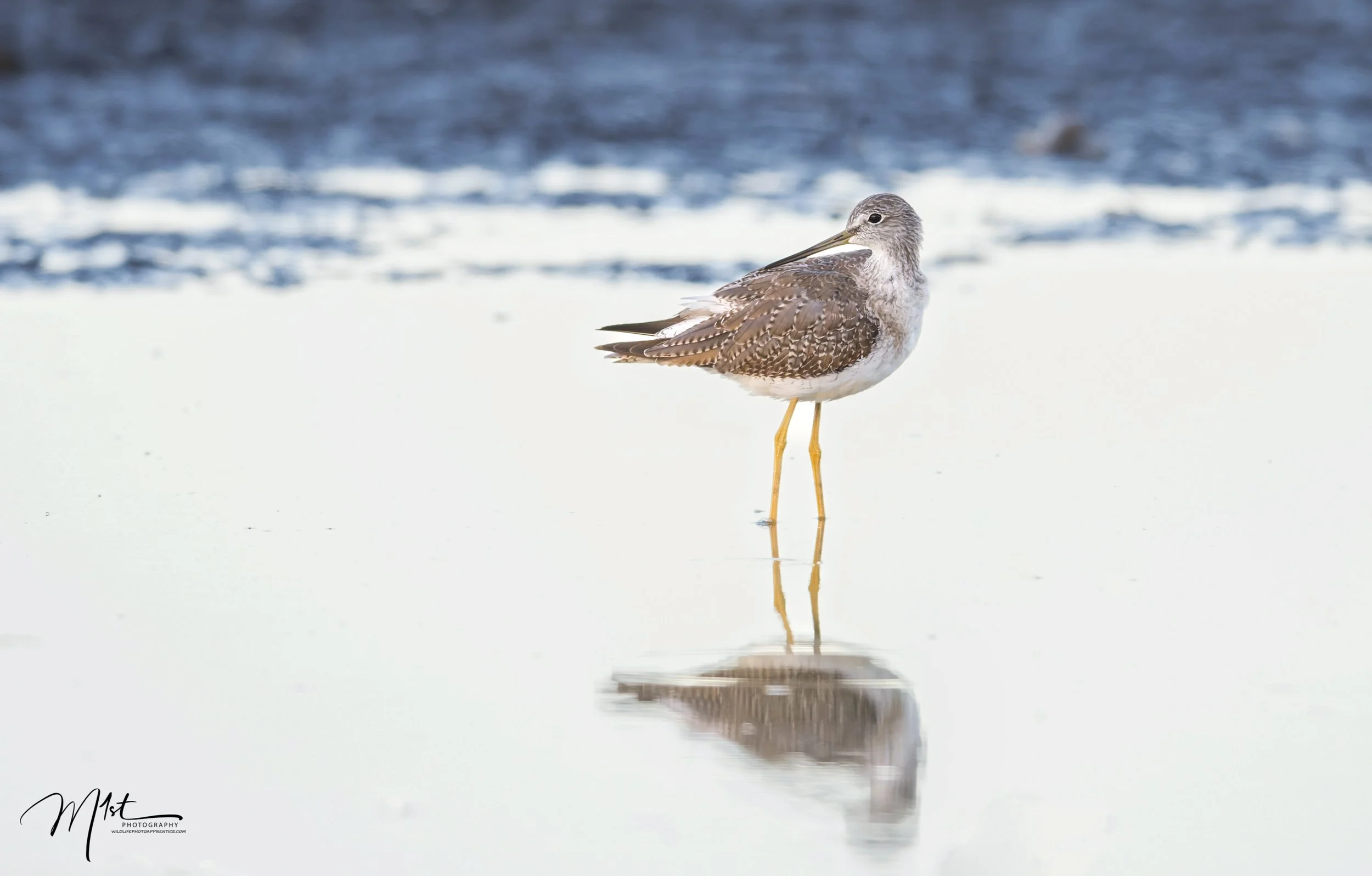 Watersong Women's Walking Group