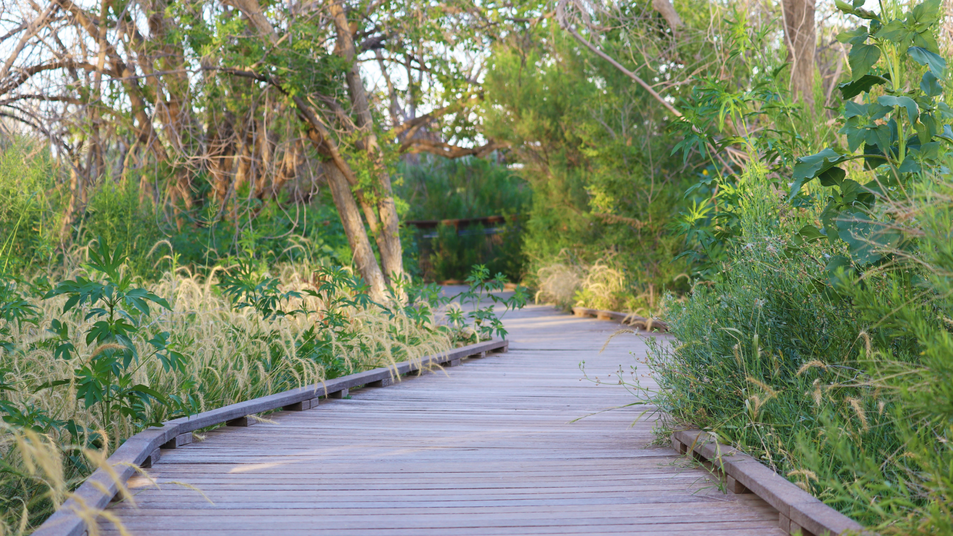 Guided Nature Walk