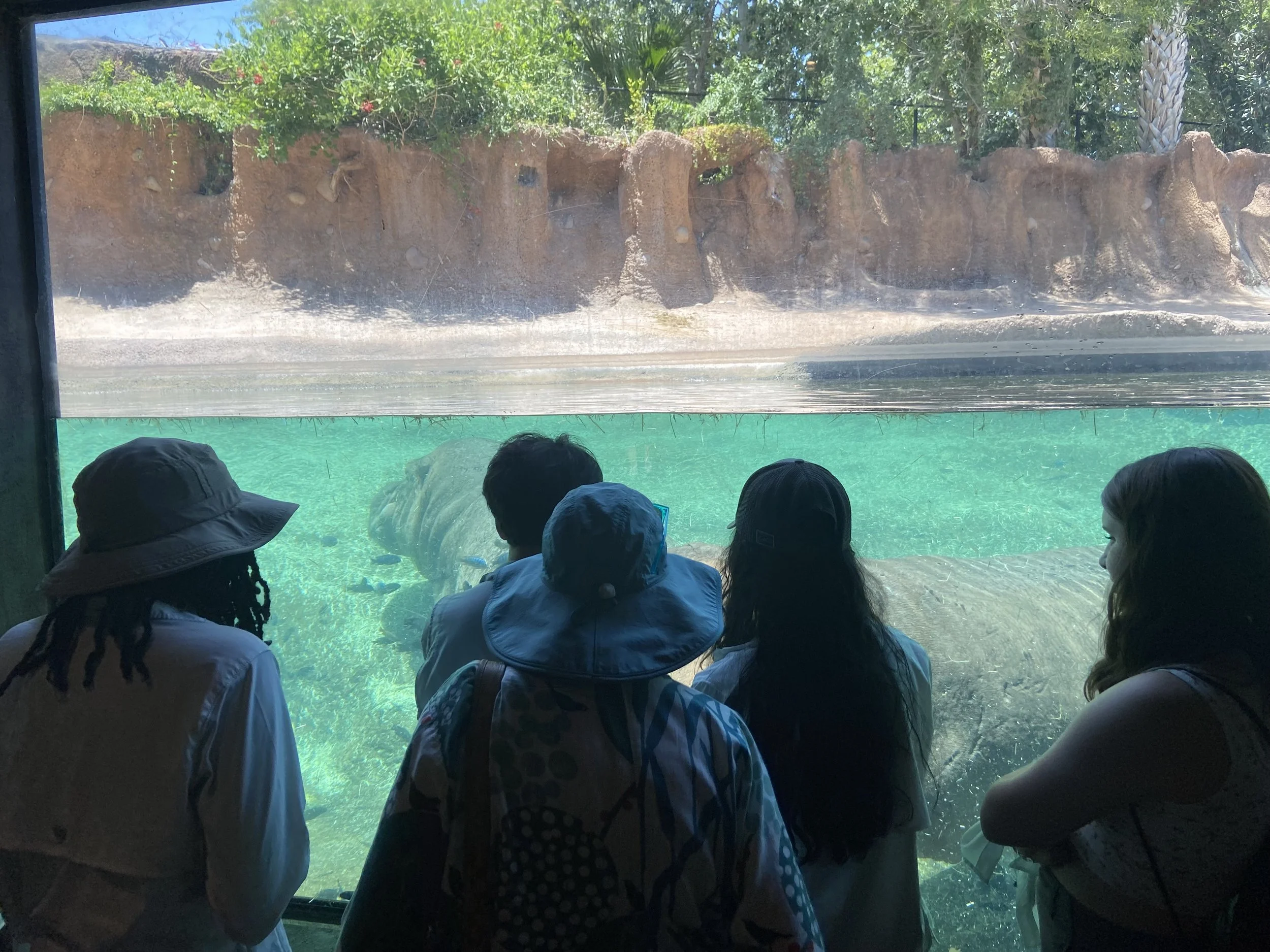 Copy of Copy of IMG_0152.jpg