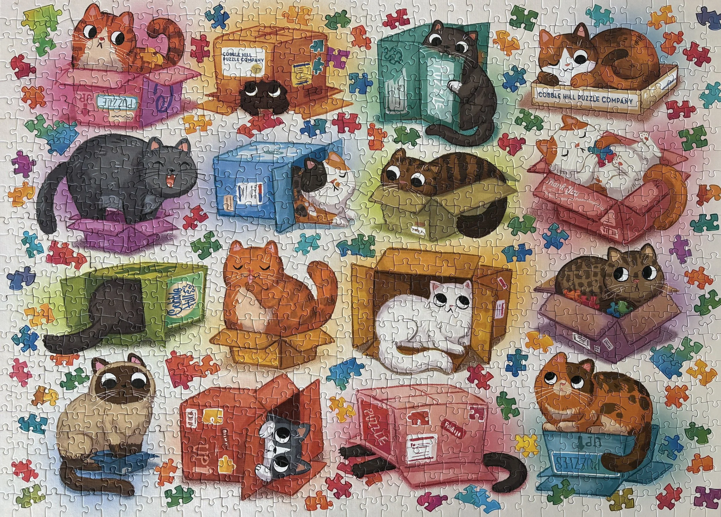 Cats vs Puzzles.jpeg
