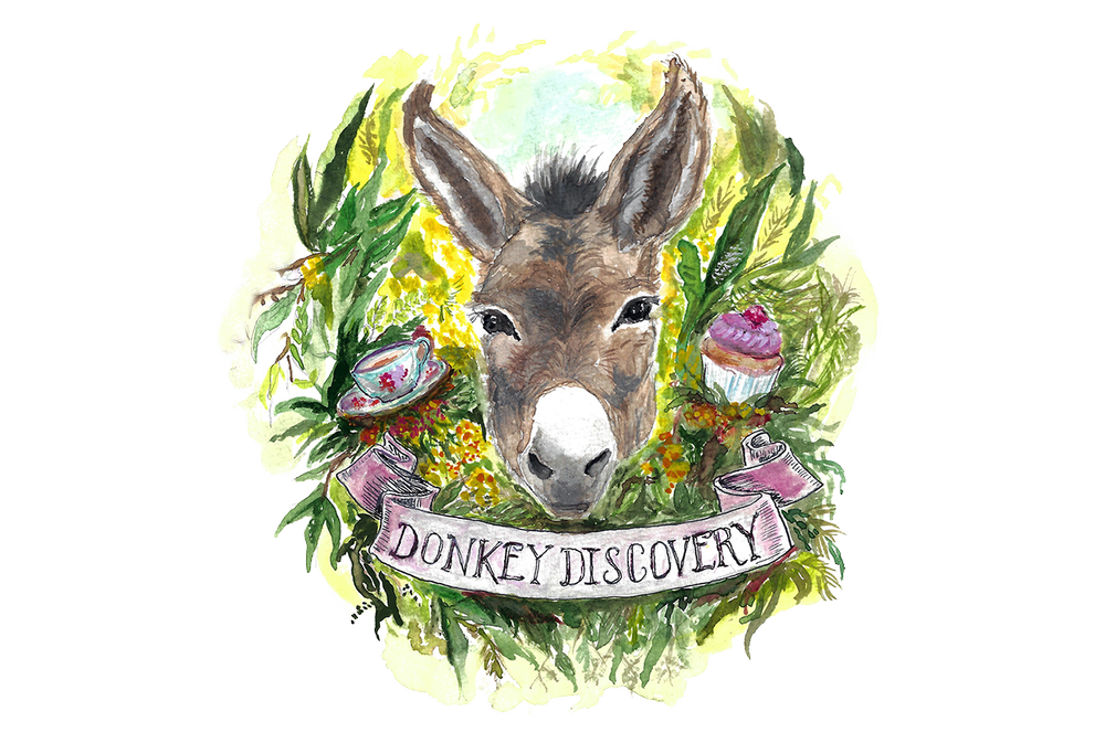 The Development Donkey Reviews — DonkeyDiscovery