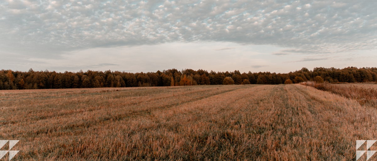 The Business Journal: Long-Term Energy Project Could Bring Relief to California Ratepayers, Reclaim Farmland
