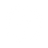 Circle with a lightning bolt symbol inside
