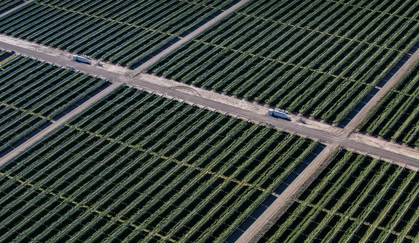 Canary Media: The biggest US solar-storage project yet takes shape in California
